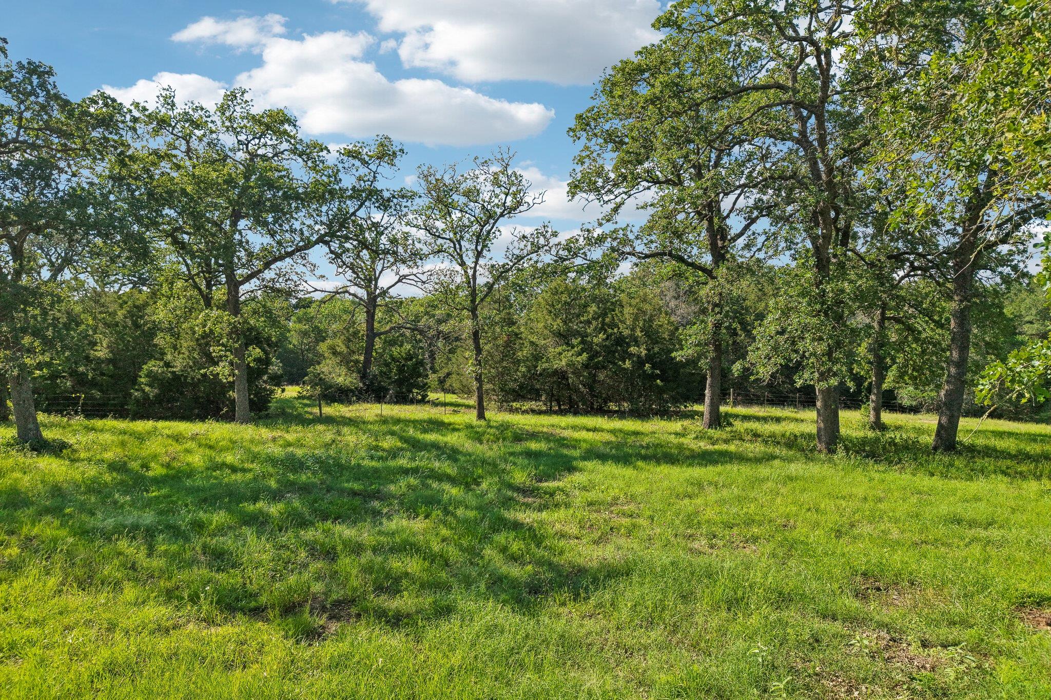 6 Acres County Road 211 Giddings TX 78942