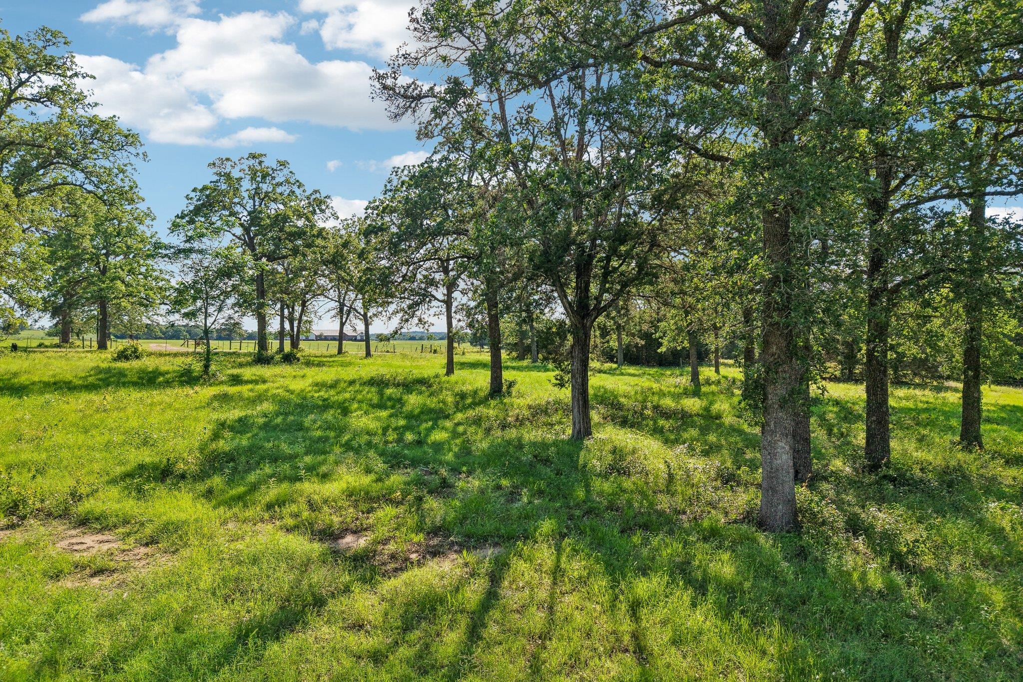 6 Acres County Road 211 Giddings TX 78942