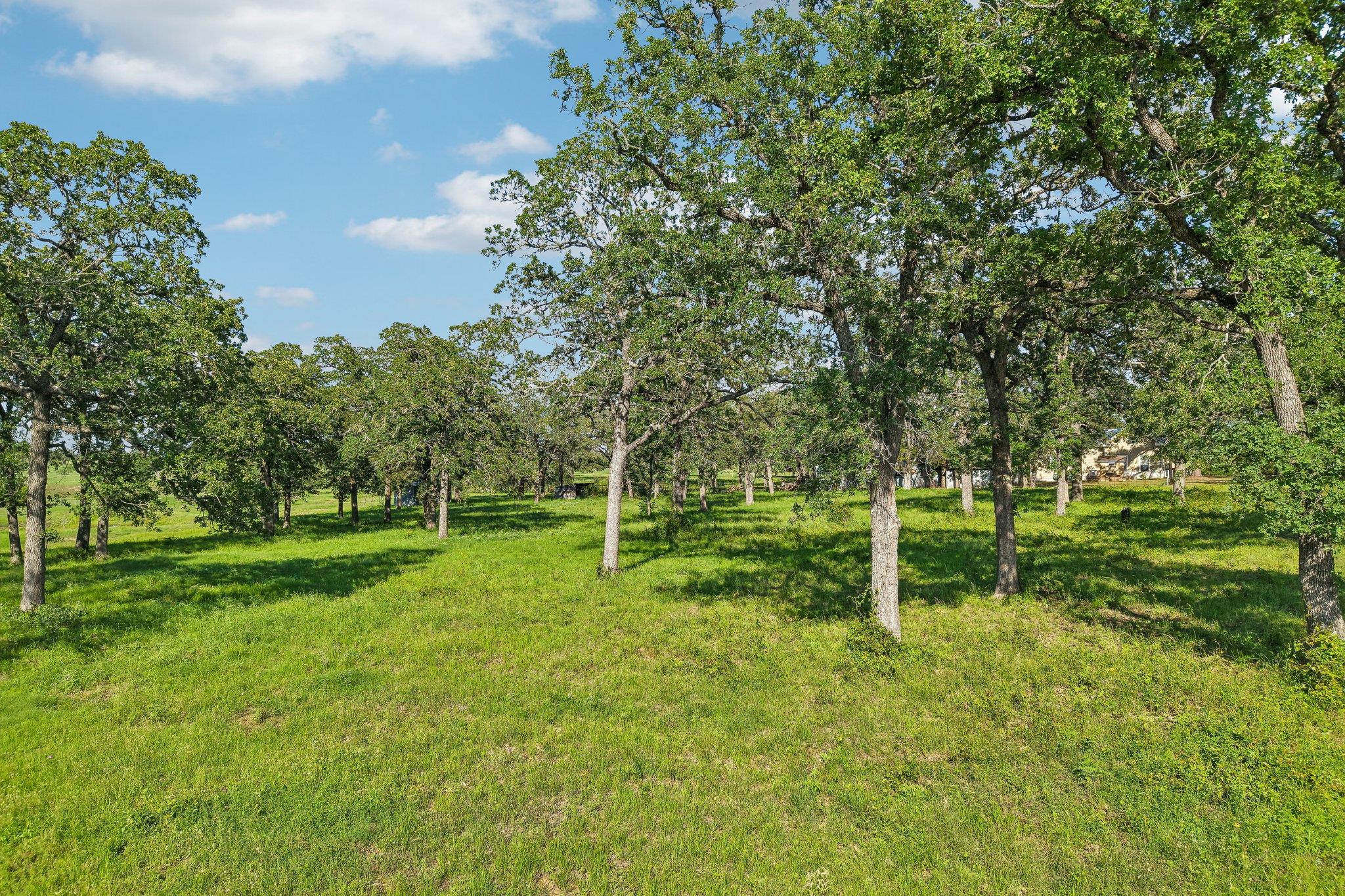 6 Acres County Road 211 Giddings TX 78942