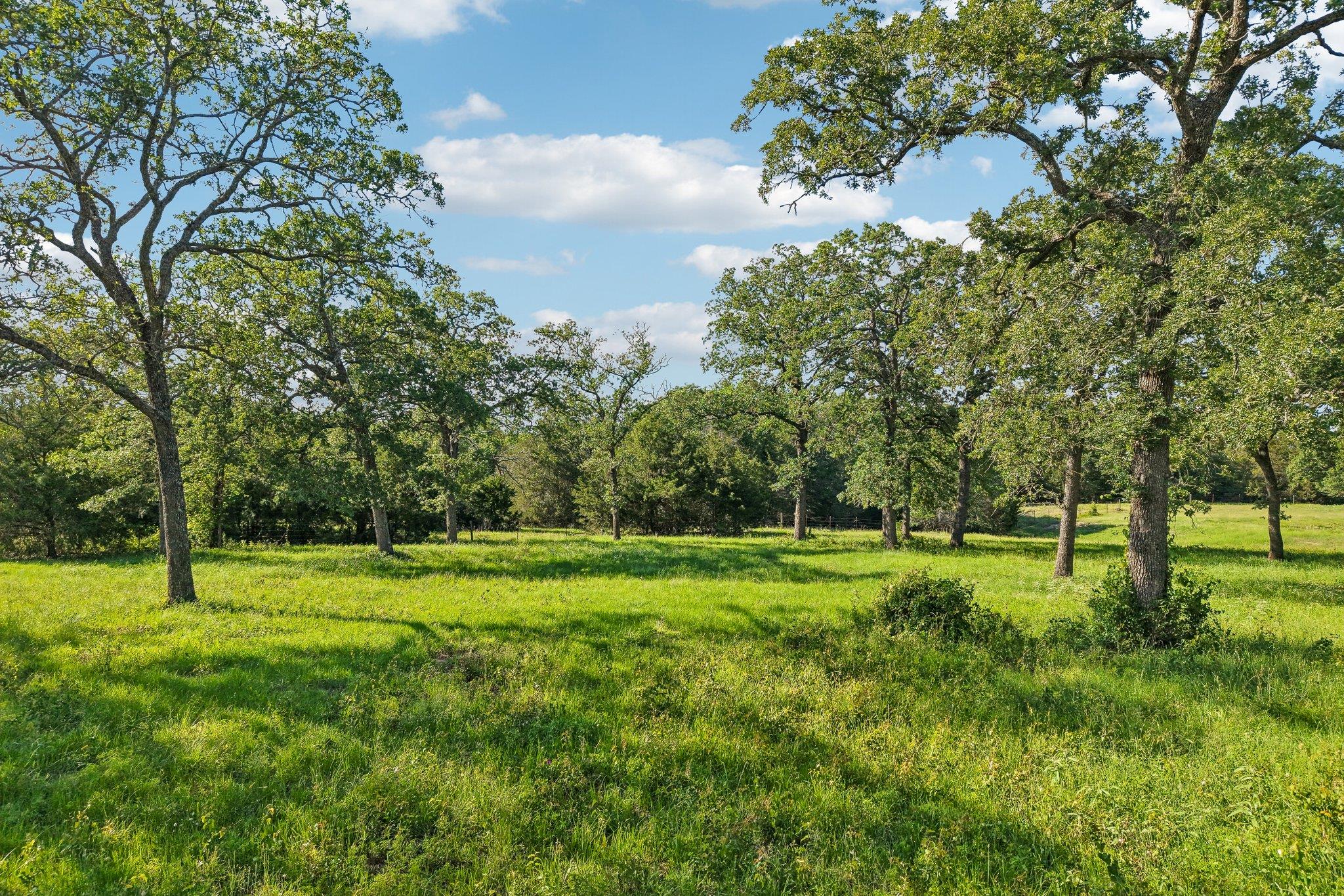 6 Acres County Road 211 Giddings TX 78942