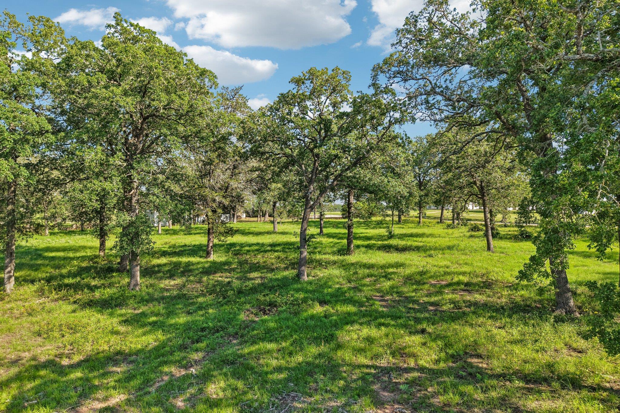 6 Acres County Road 211 Giddings TX 78942