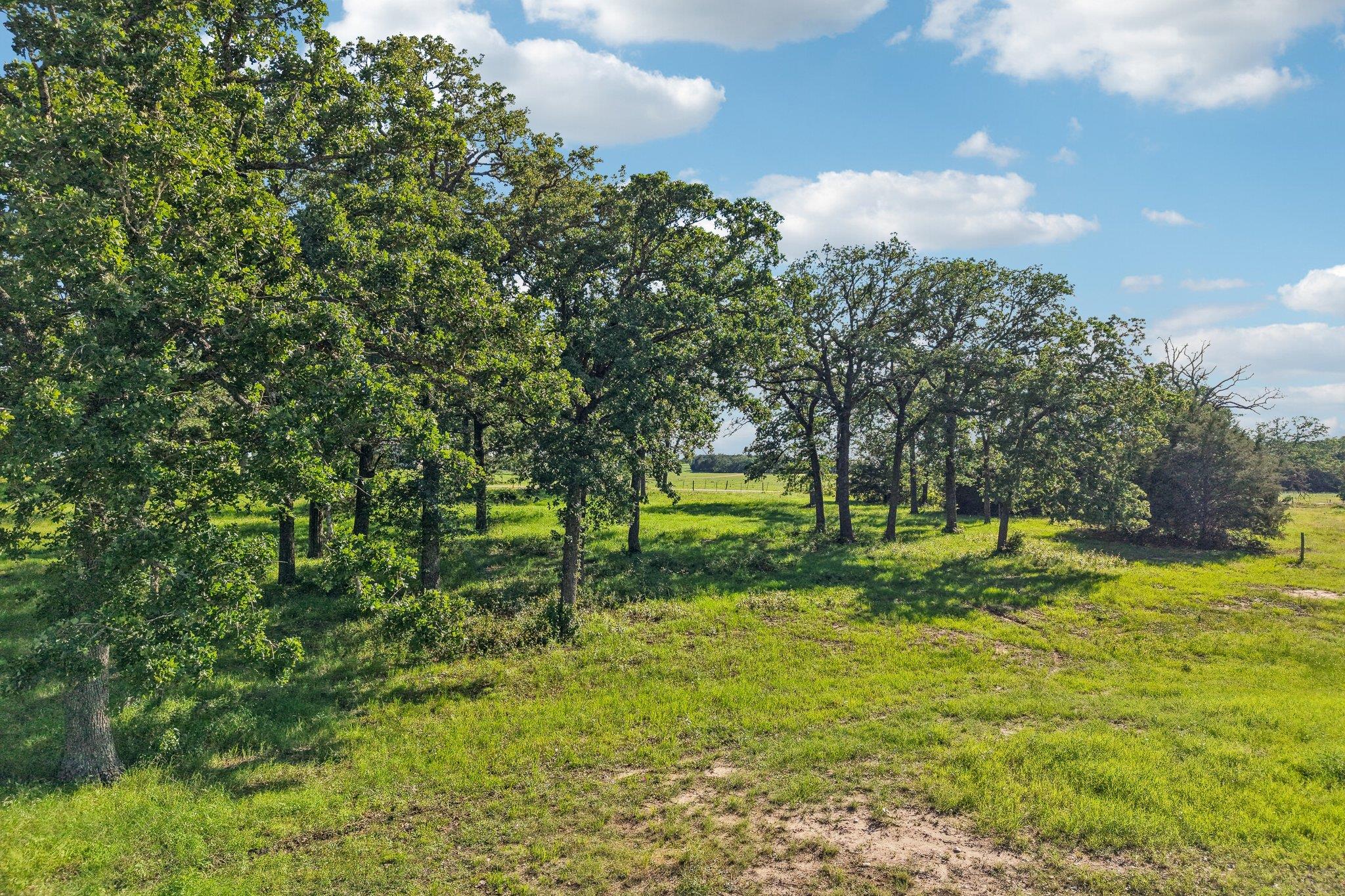 6 Acres County Road 211 Giddings TX 78942