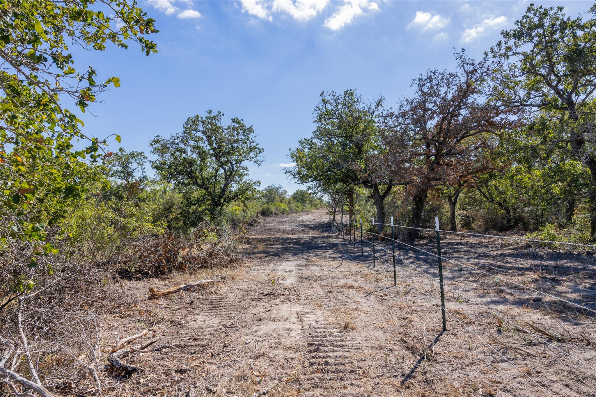 Lot 4 County Road 211 Smiley TX 78159
