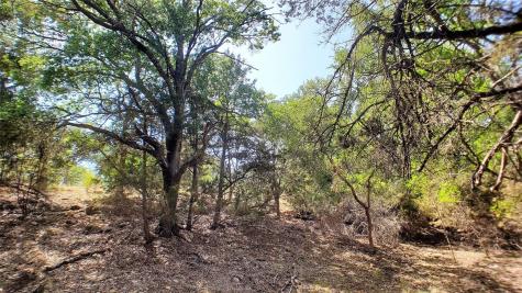 650 Beauchamp Road Dripping Springs TX 78620