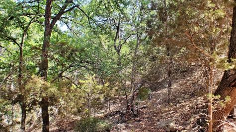 650 Beauchamp Road Dripping Springs TX 78620