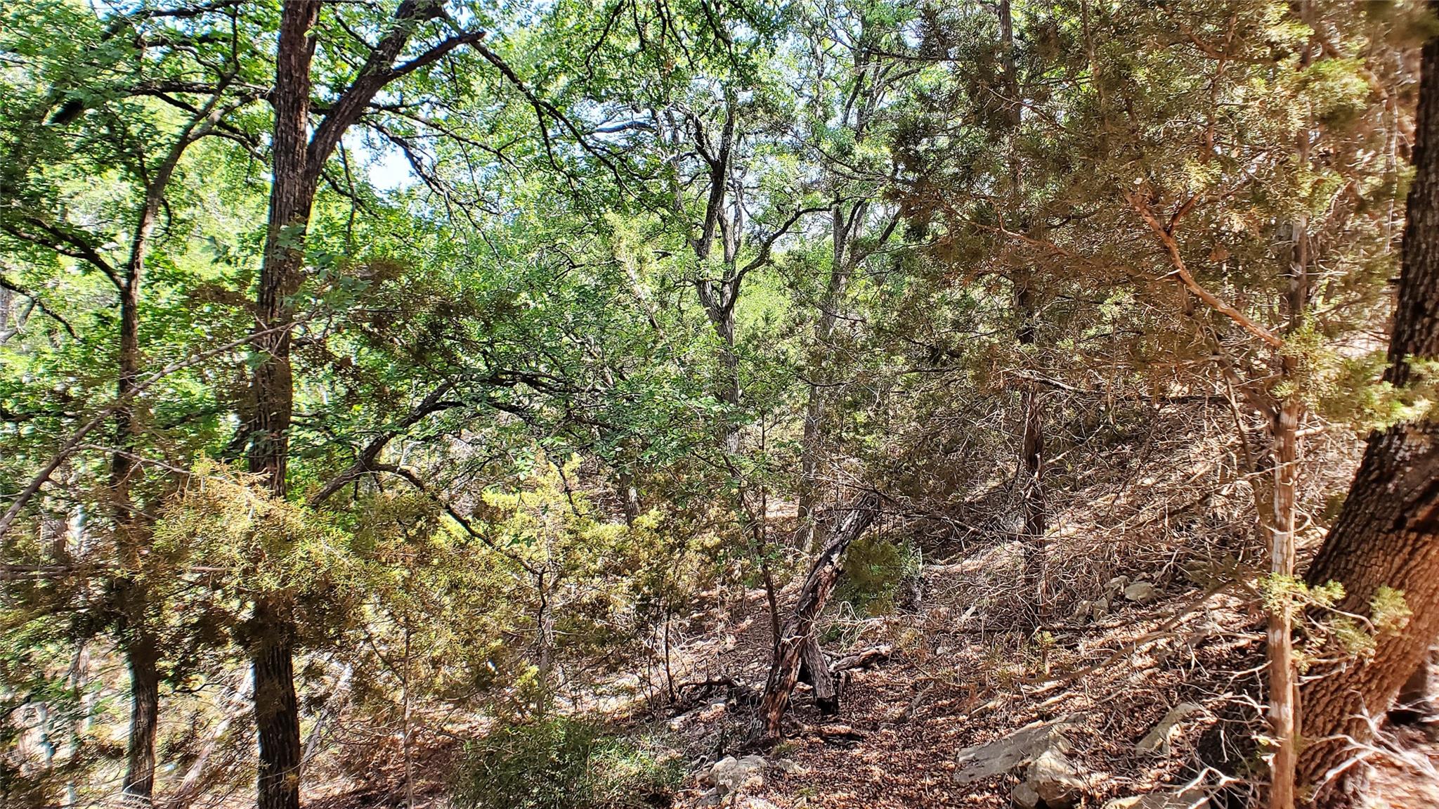 650 Beauchamp Road Dripping Springs TX 78620