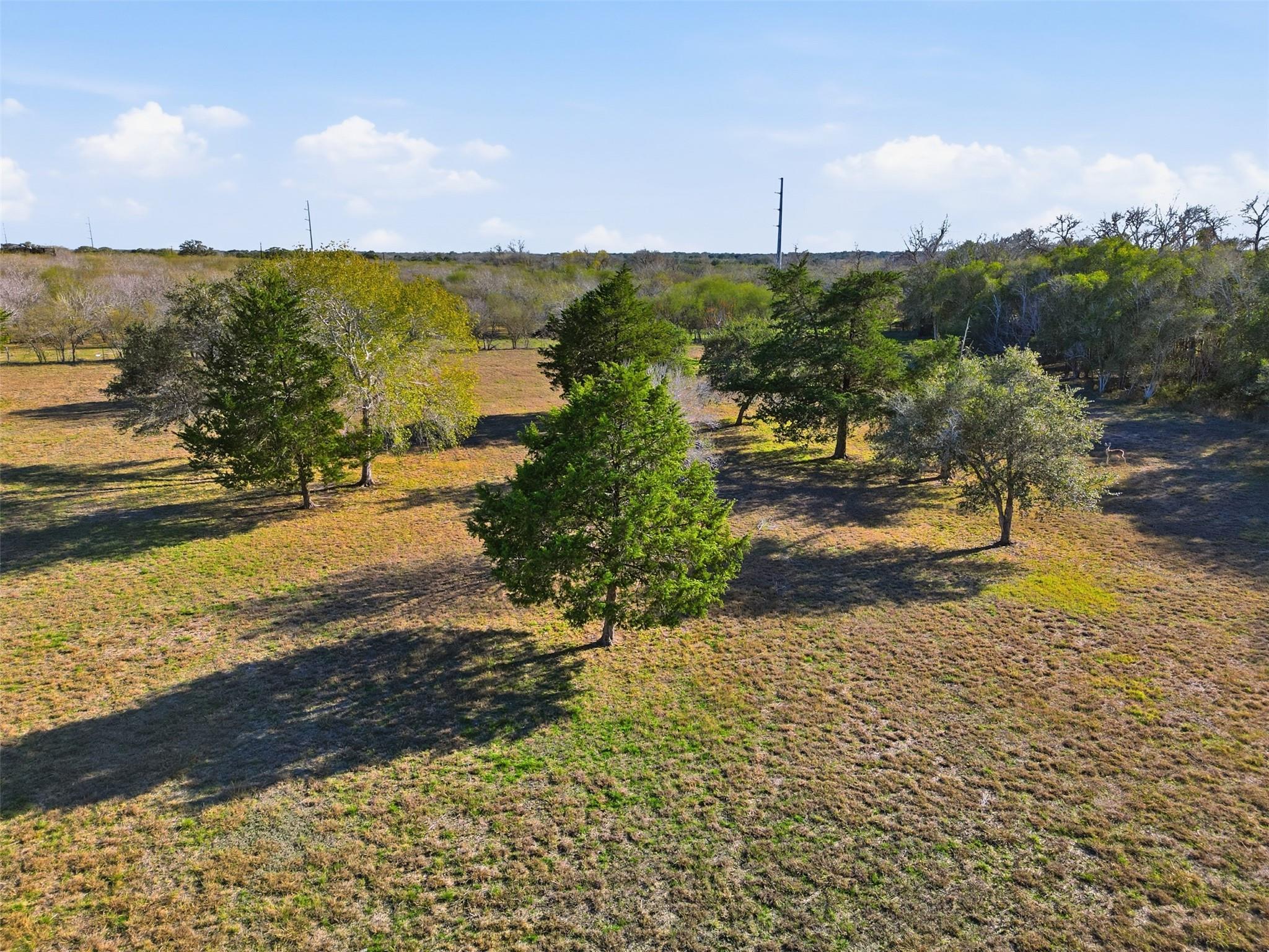 1123 Dunn Street Yoakum TX 77995