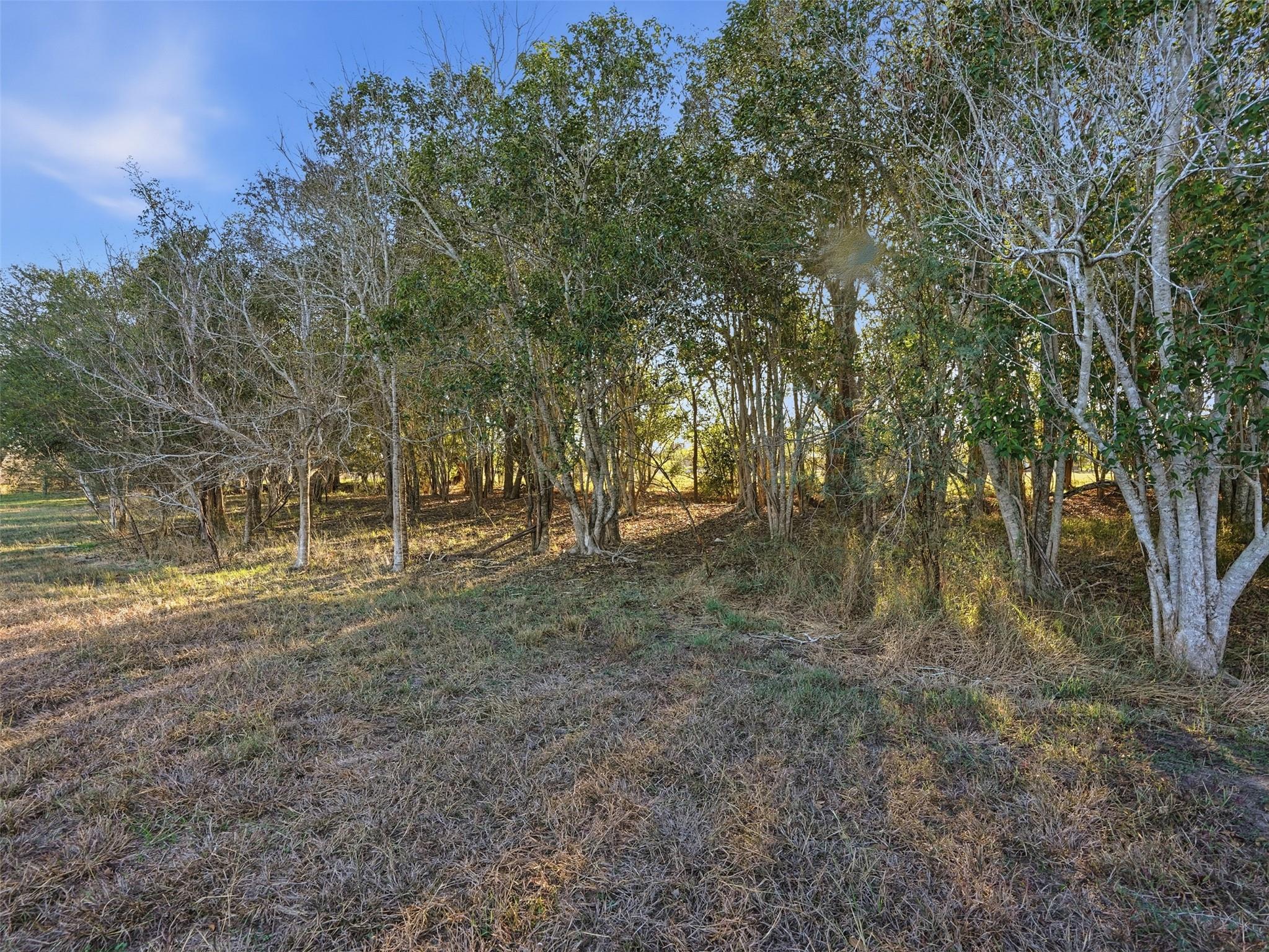 1123 Dunn Street Yoakum TX 77995