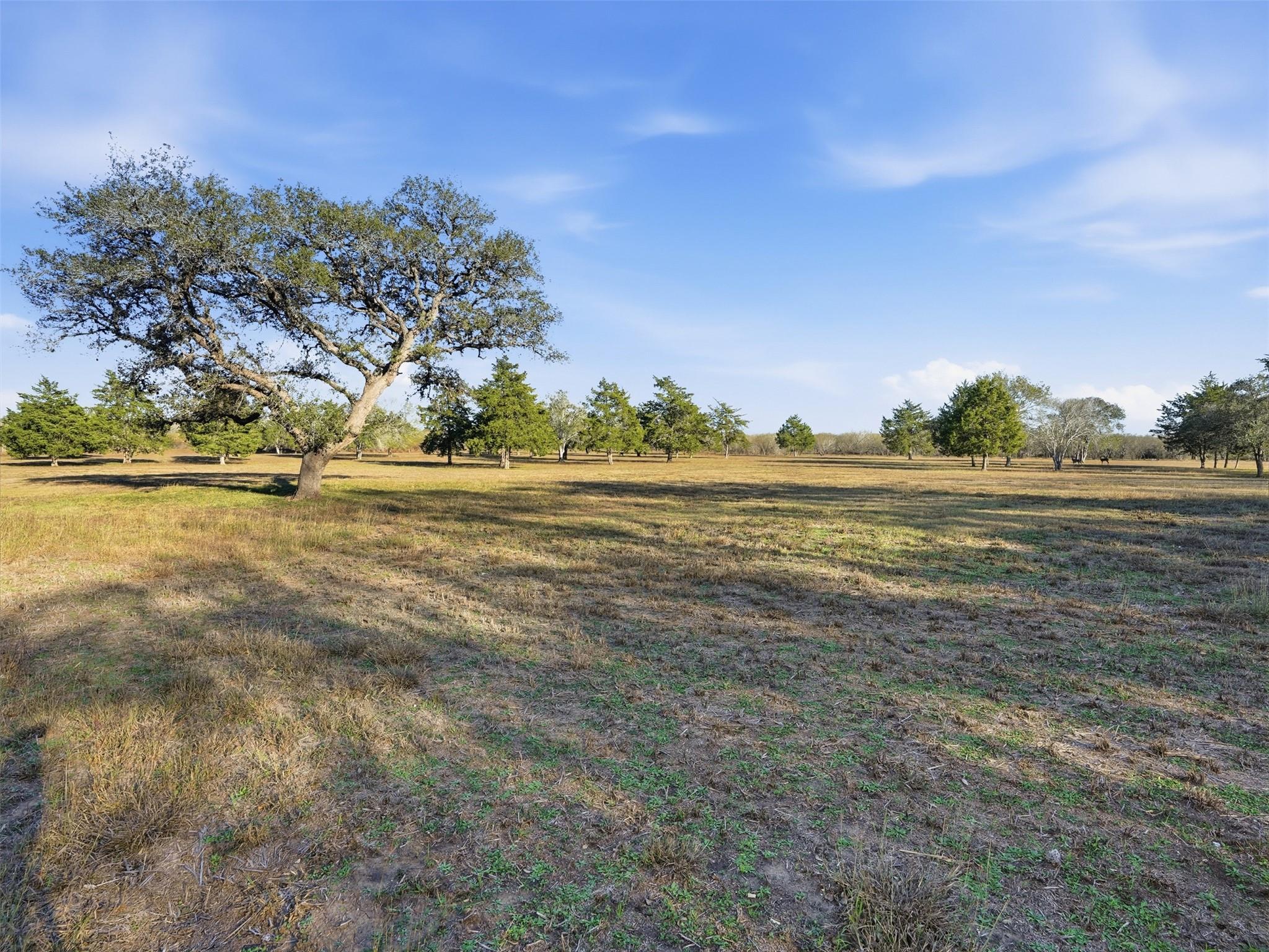 1123 Dunn Street Yoakum TX 77995