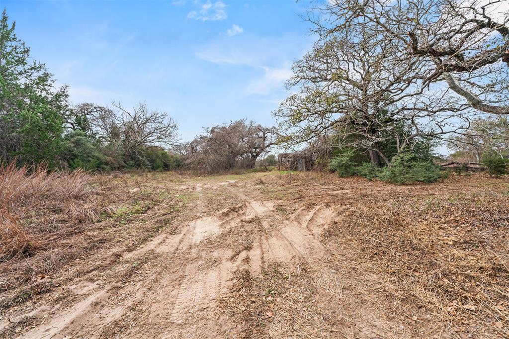 11423 Us Highway 77 Lexington TX 78947