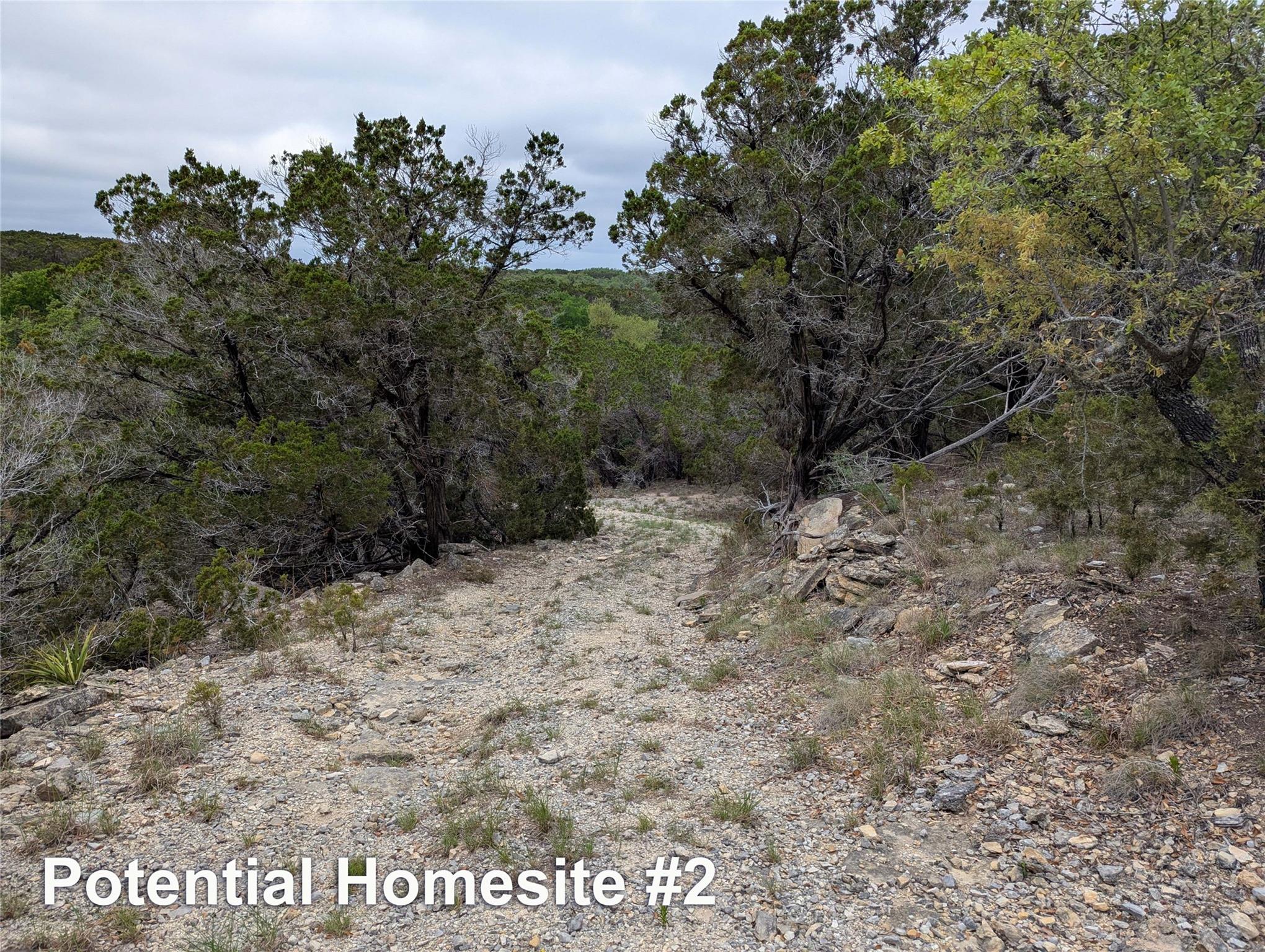 701 Plant Lady Lane Dripping Springs TX 78620