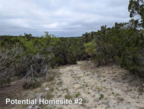 701 Plant Lady Lane Dripping Springs TX 78620