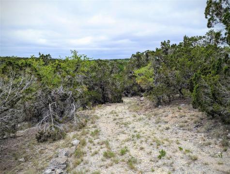 701 Plant Lady Lane Dripping Springs TX 78620