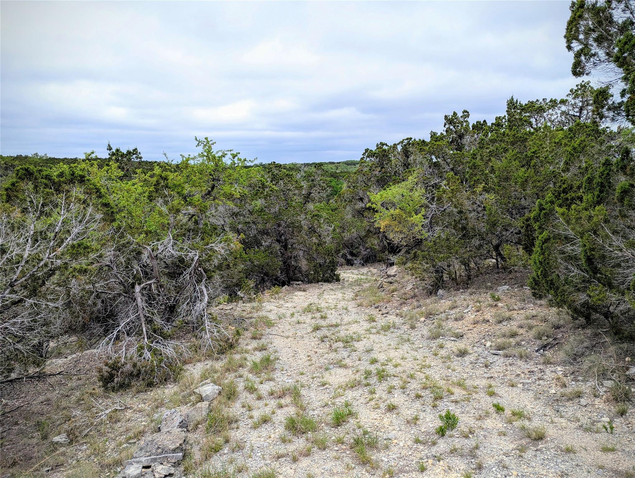 701 Plant Lady Lane Dripping Springs TX 78620