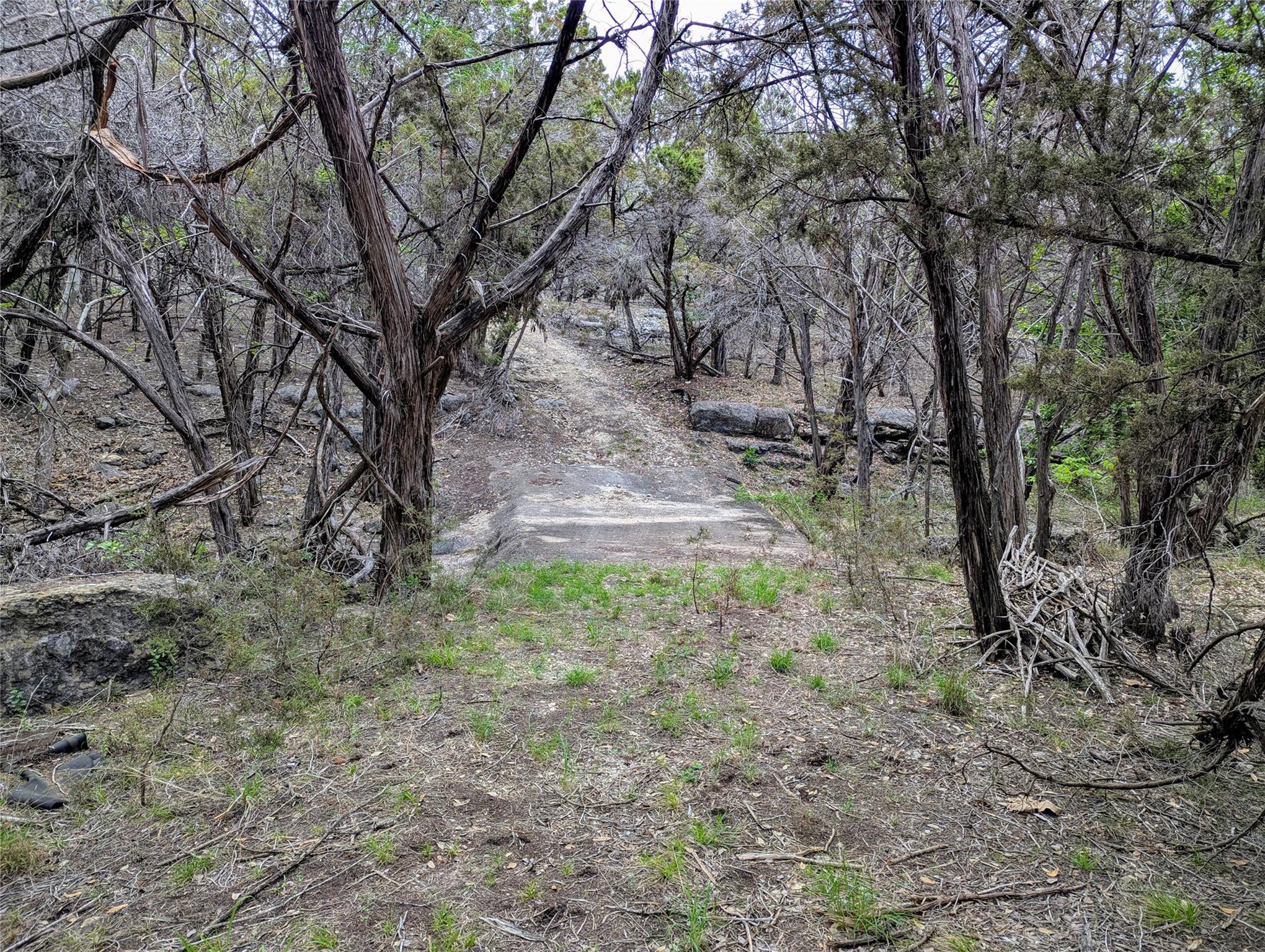 701 Plant Lady Lane Dripping Springs TX 78620