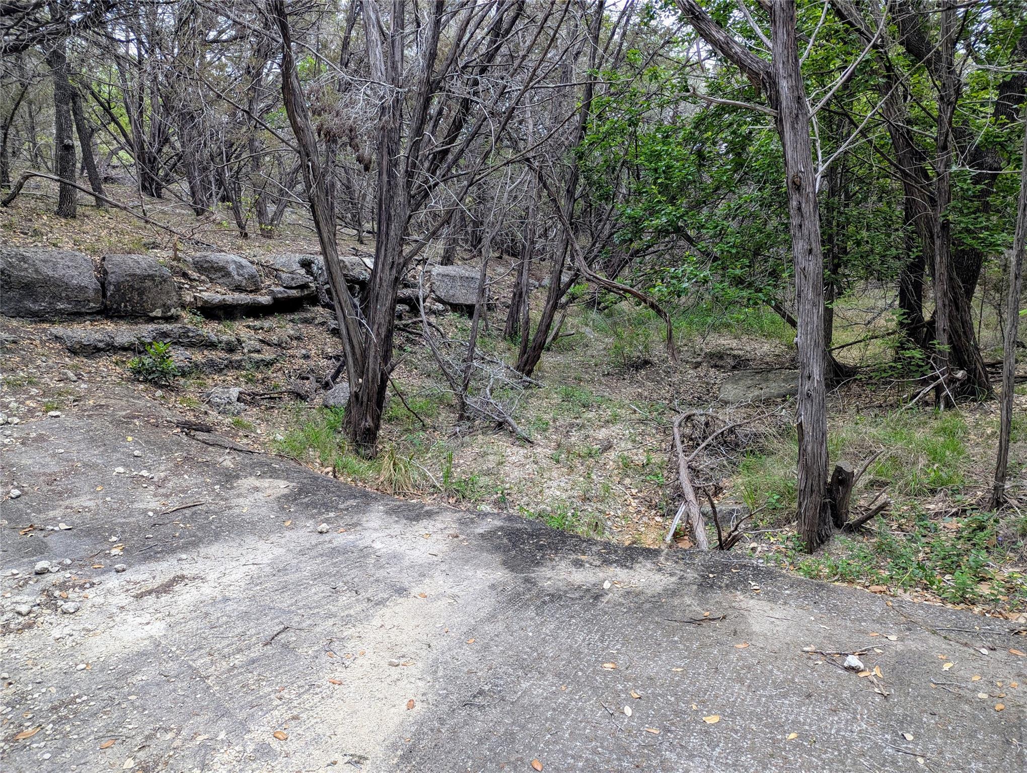 701 Plant Lady Lane Dripping Springs TX 78620