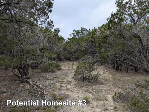 701 Plant Lady Lane Dripping Springs TX 78620