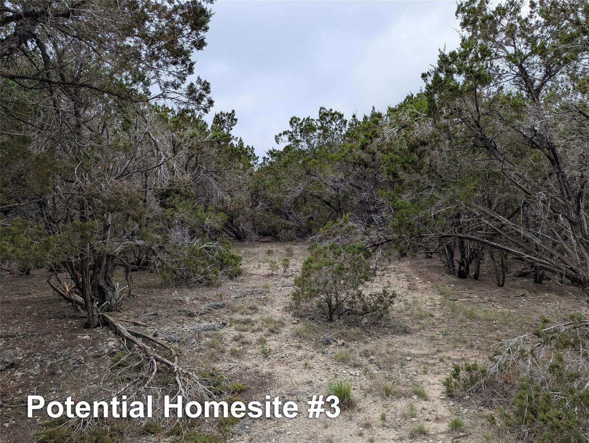 701 Plant Lady Lane Dripping Springs TX 78620