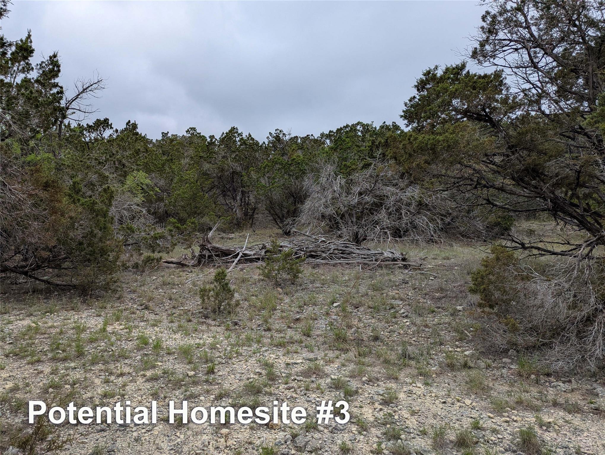 701 Plant Lady Lane Dripping Springs TX 78620