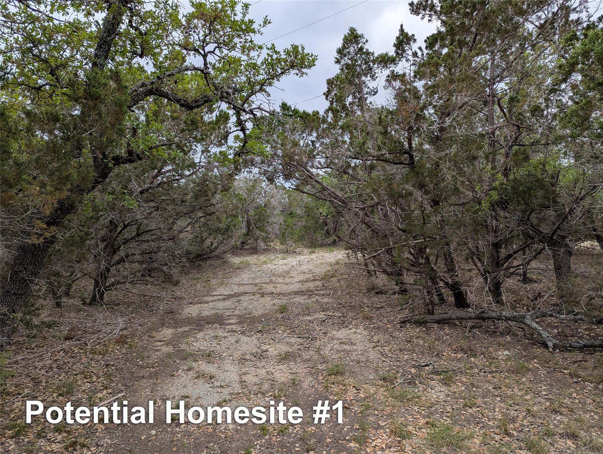701 Plant Lady Lane Dripping Springs TX 78620