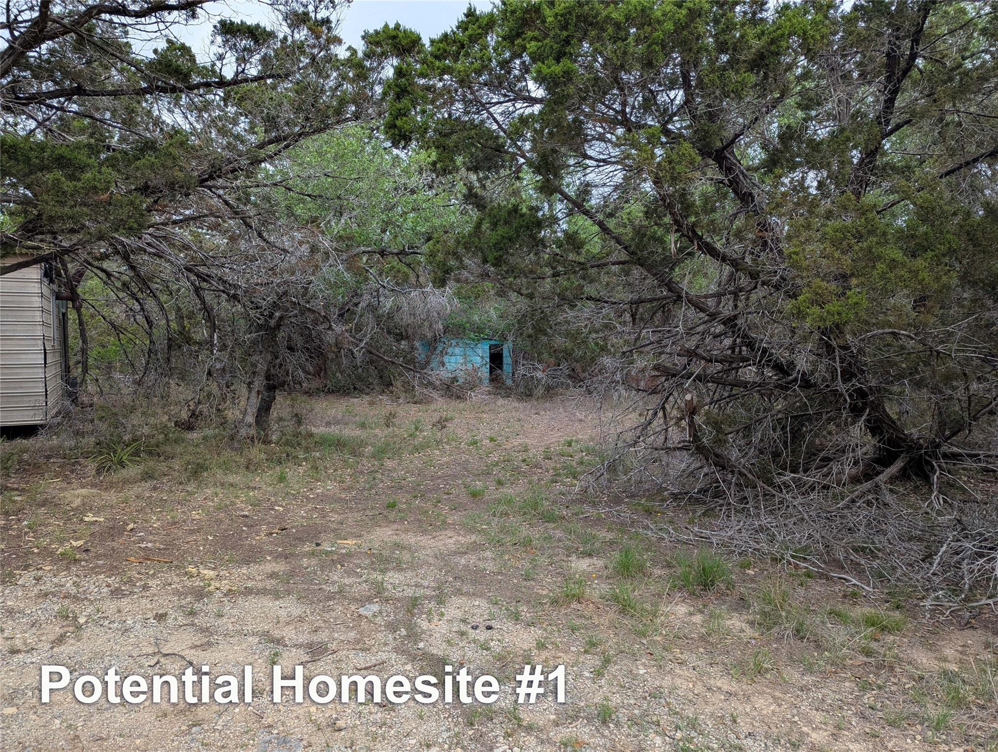 701 Plant Lady Lane Dripping Springs TX 78620