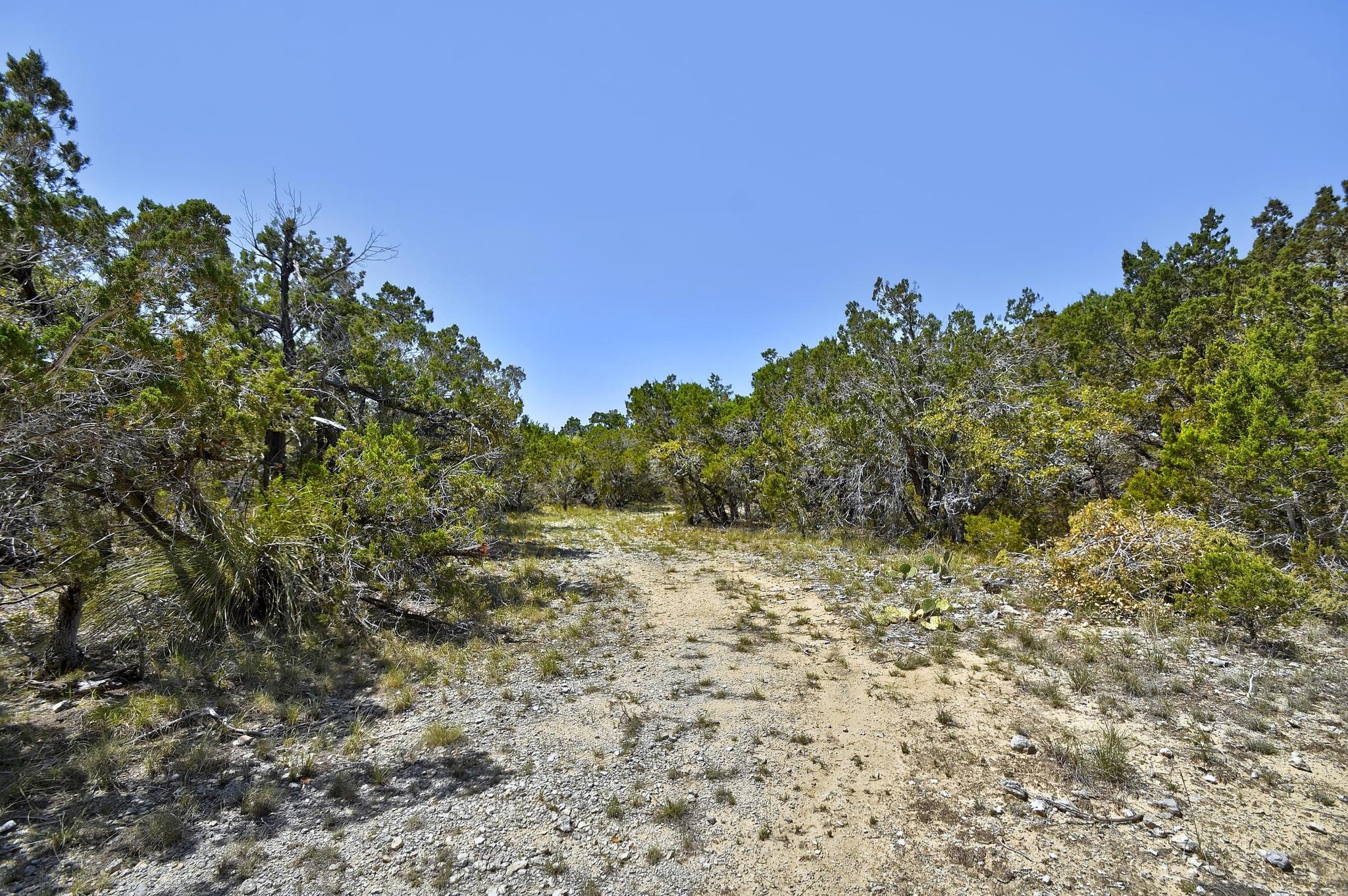 701 Plant Lady Lane Dripping Springs TX 78620