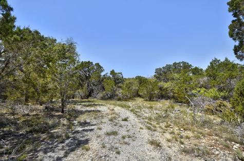 701 Plant Lady Lane Dripping Springs TX 78620
