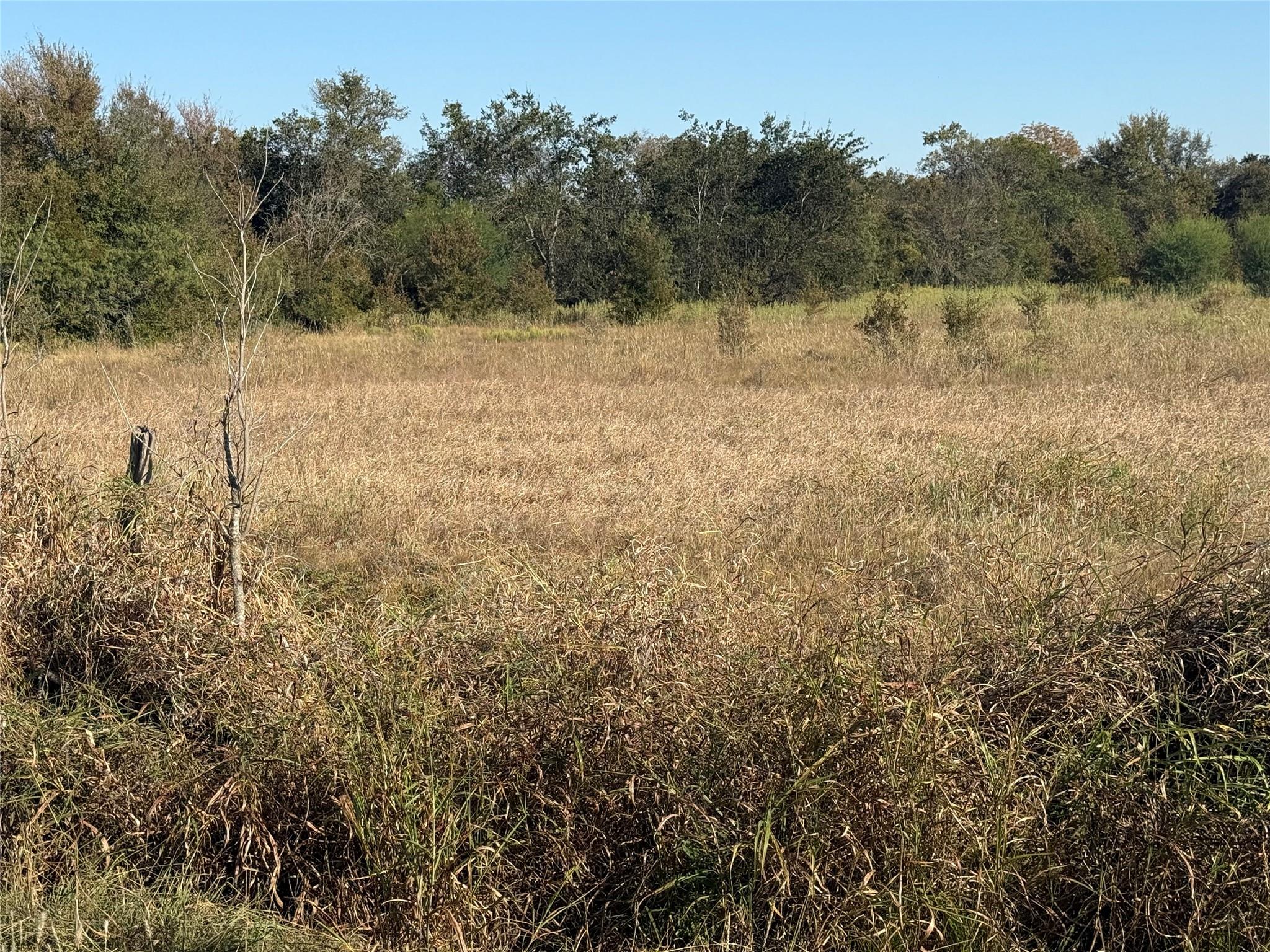Tbd Fm 712 Marlin TX 76661