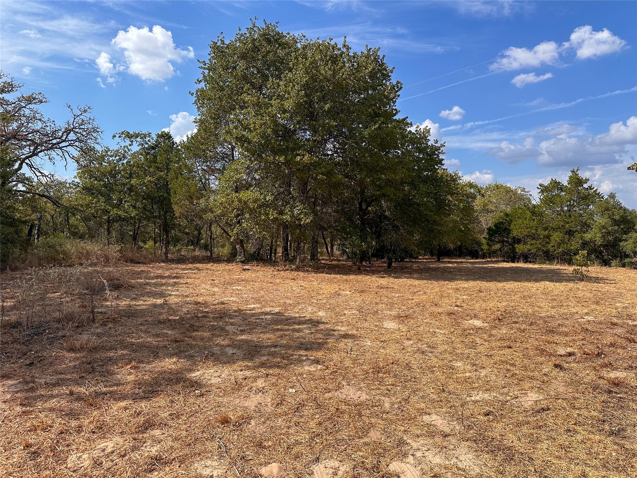 Tbd Walter Hoffman Road Bastrop TX 78602