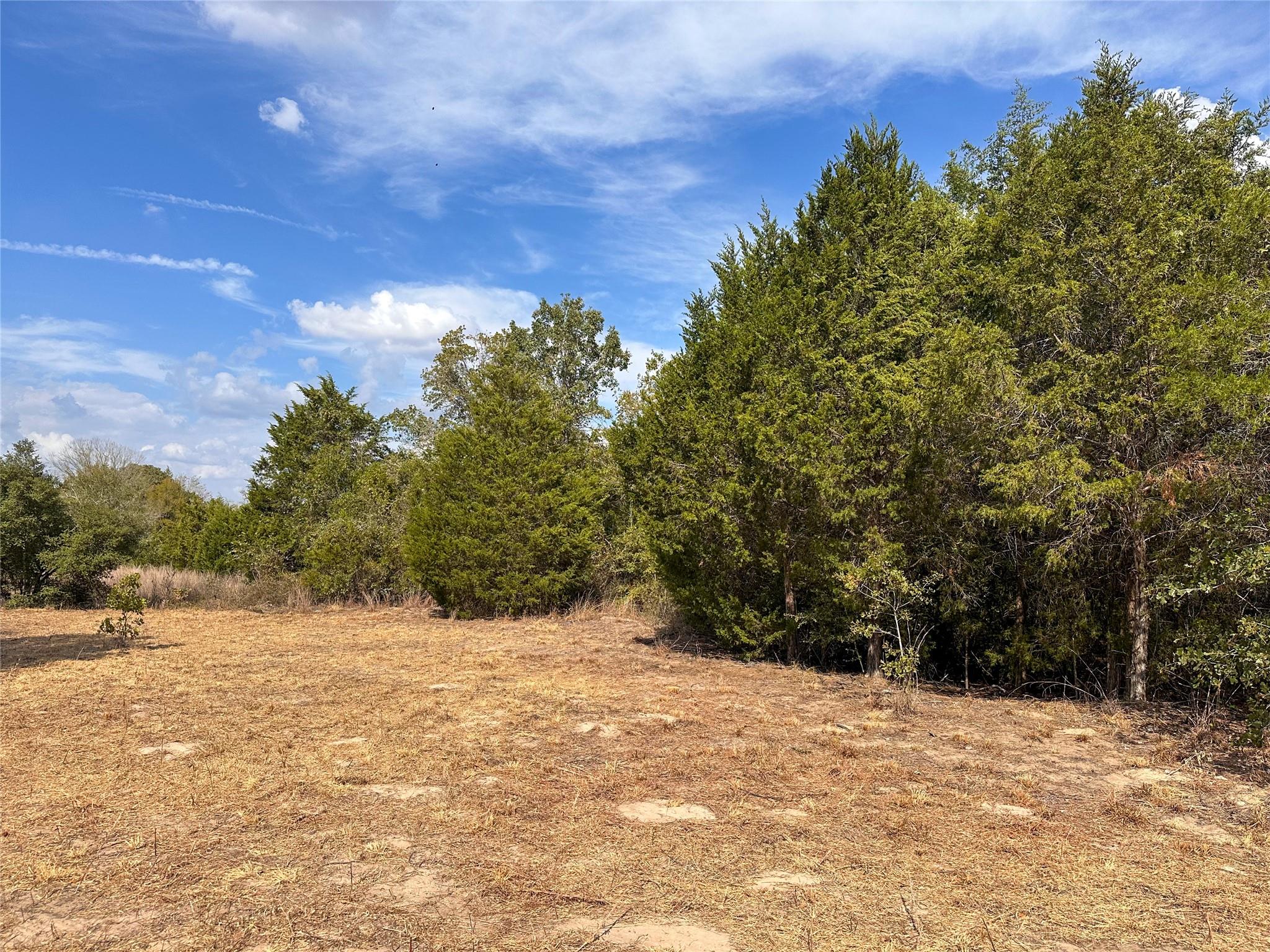 Tbd Walter Hoffman Road Bastrop TX 78602