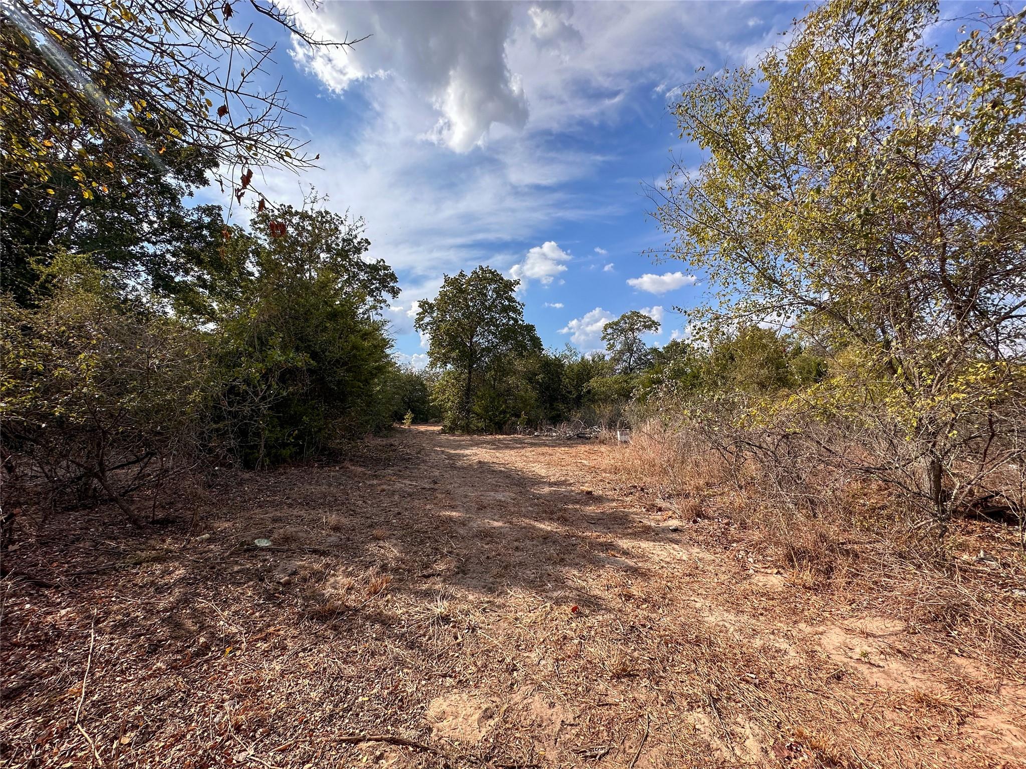Tbd Walter Hoffman Road Bastrop TX 78602