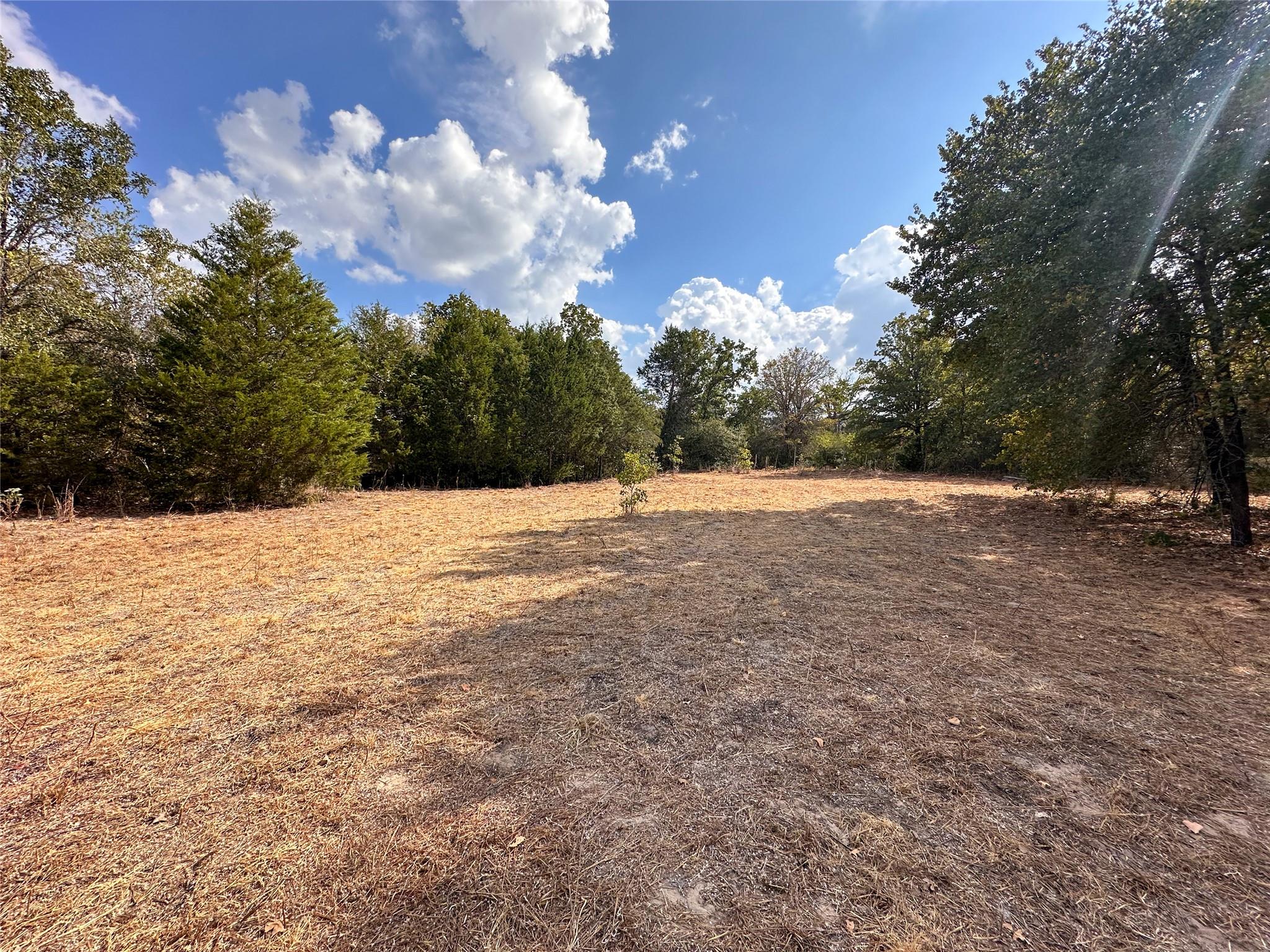 Tbd Walter Hoffman Road Bastrop TX 78602