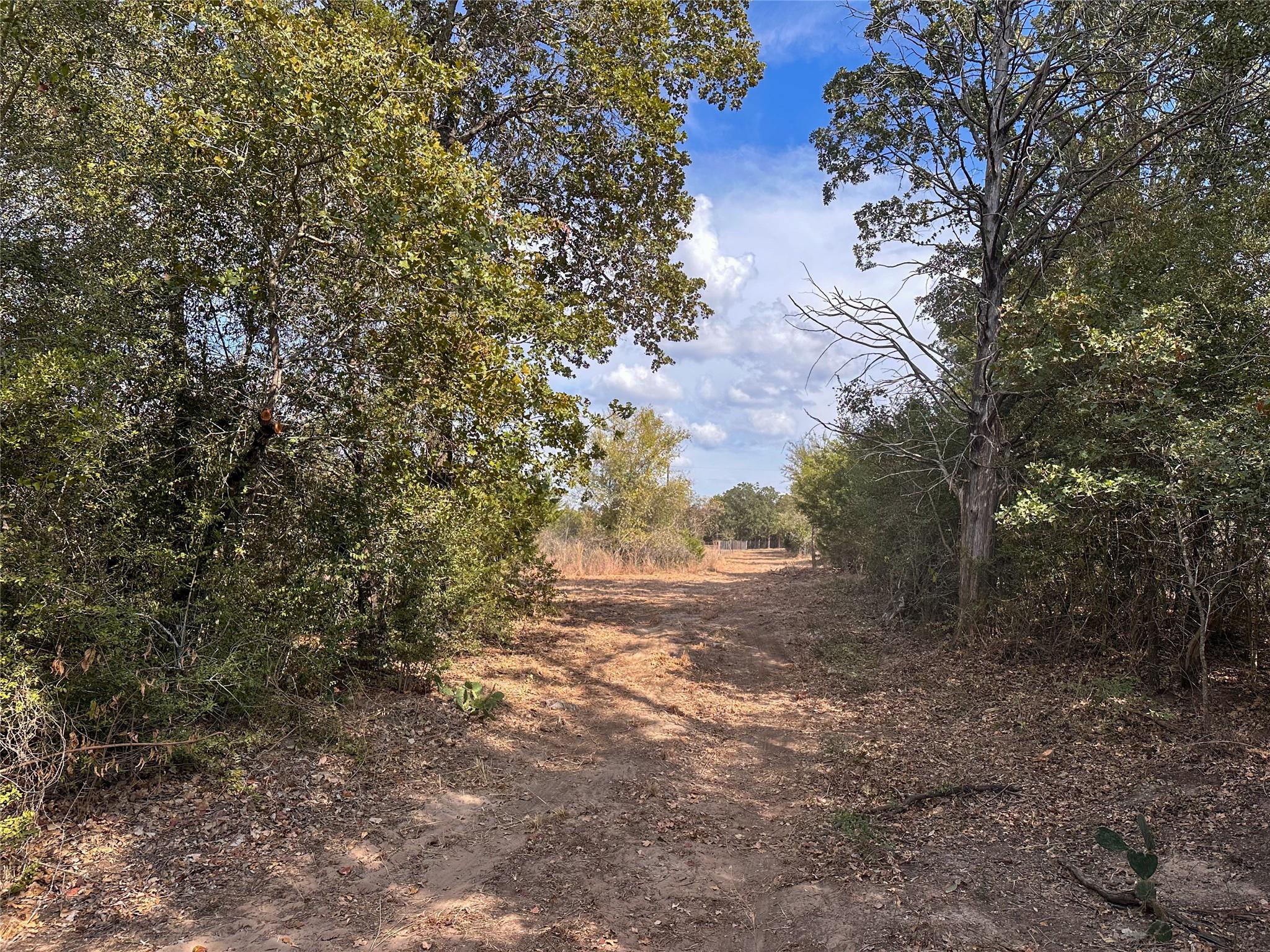 Tbd Walter Hoffman Road Bastrop TX 78602