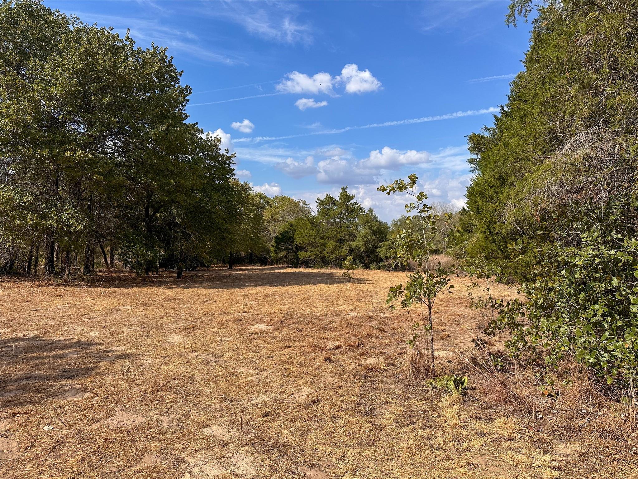 Tbd Walter Hoffman Road Bastrop TX 78602