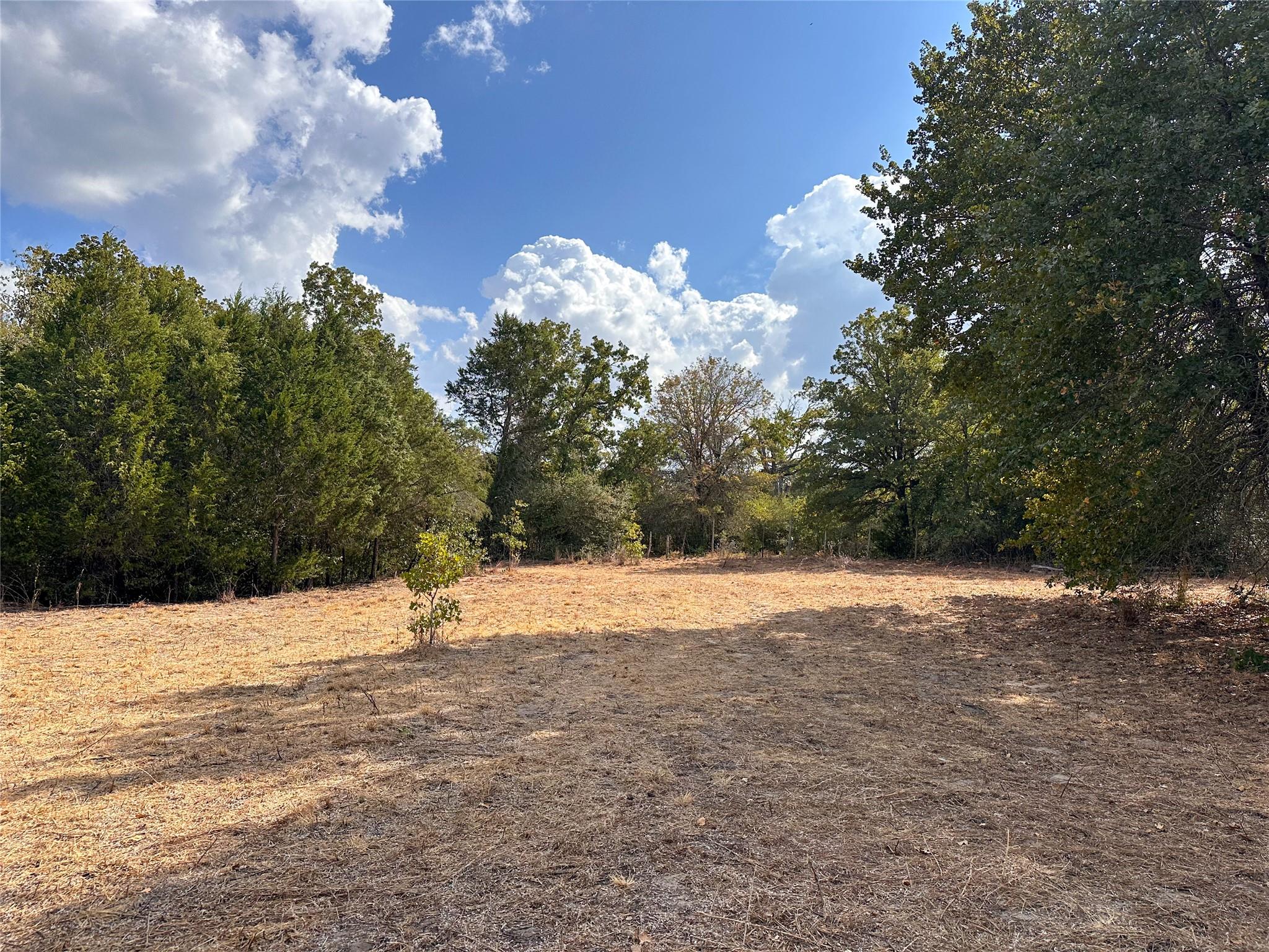 Tbd Walter Hoffman Road Bastrop TX 78602