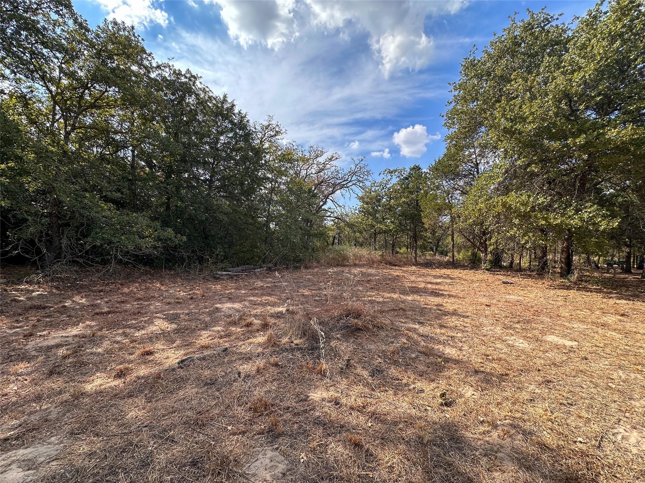 Tbd Walter Hoffman Road Bastrop TX 78602