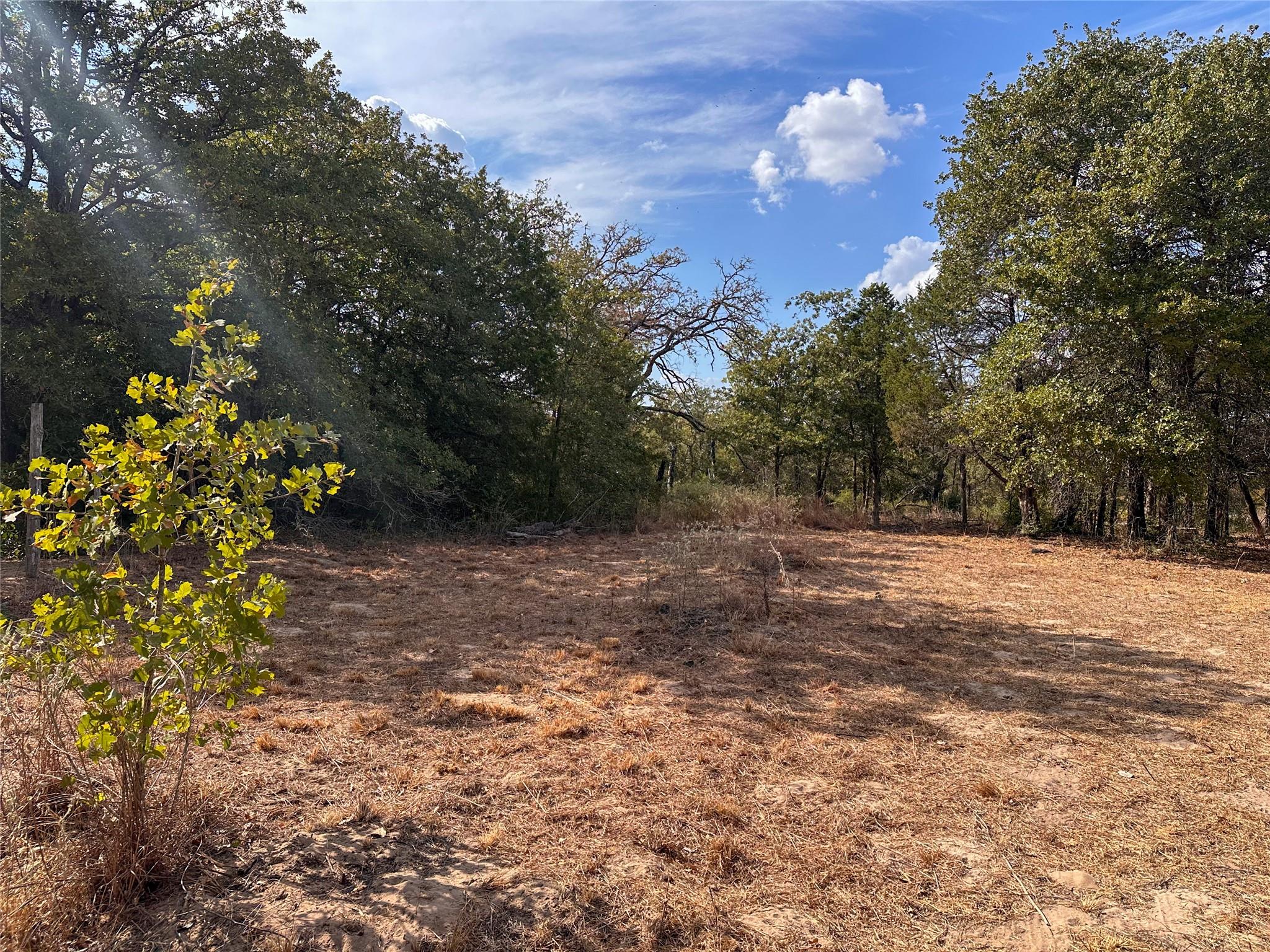 Tbd Walter Hoffman Road Bastrop TX 78602