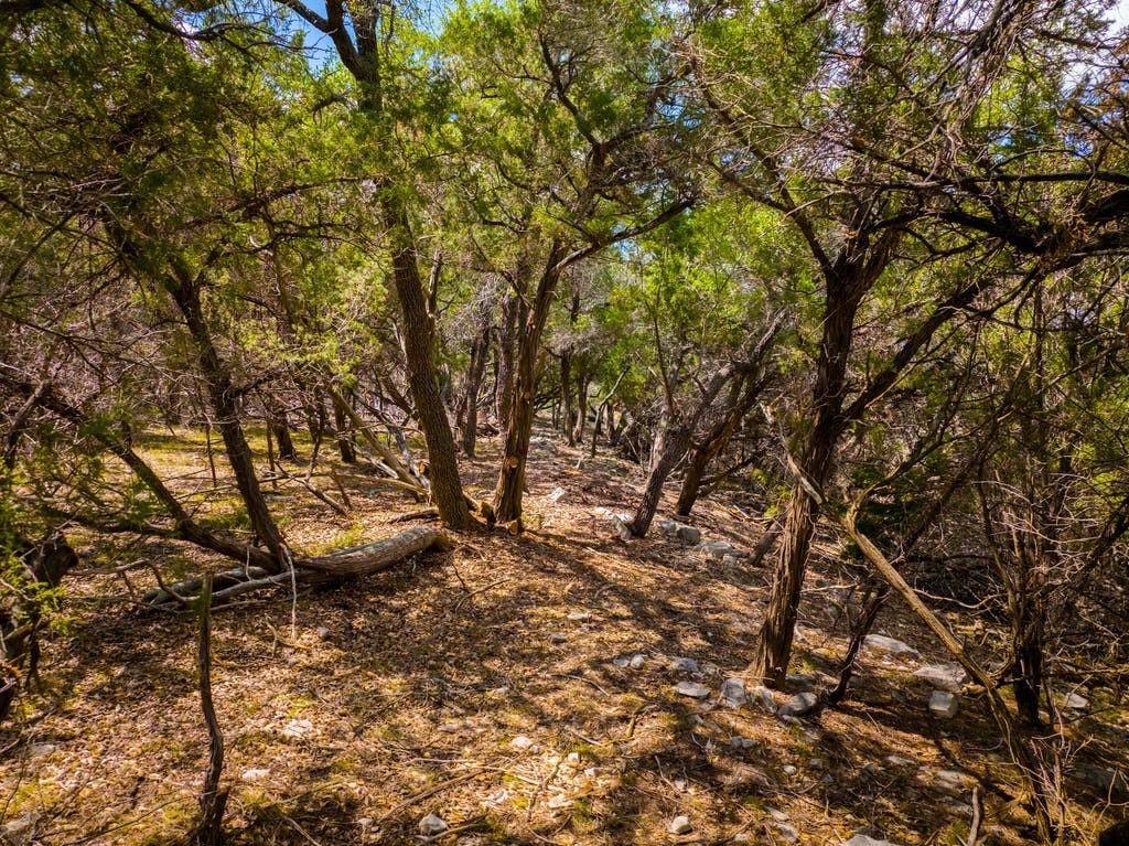 13409 Madrone Mountain Way Austin TX 78737