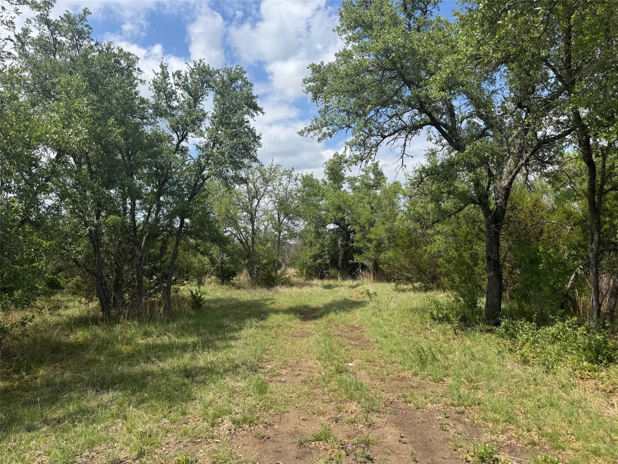 Lot 41 Maverick Way Briggs TX 78608