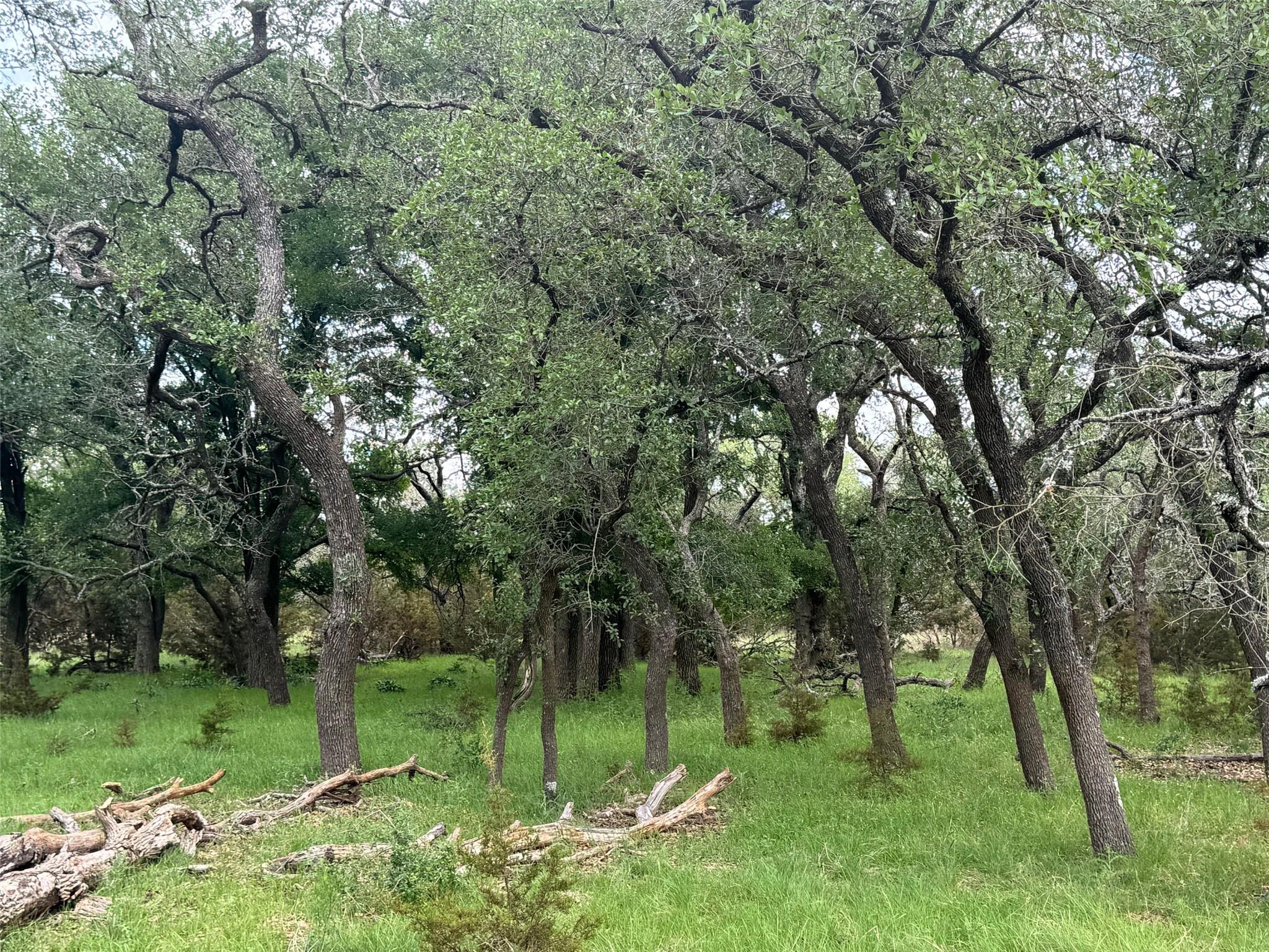 Lot 41 Maverick Way Briggs TX 78608