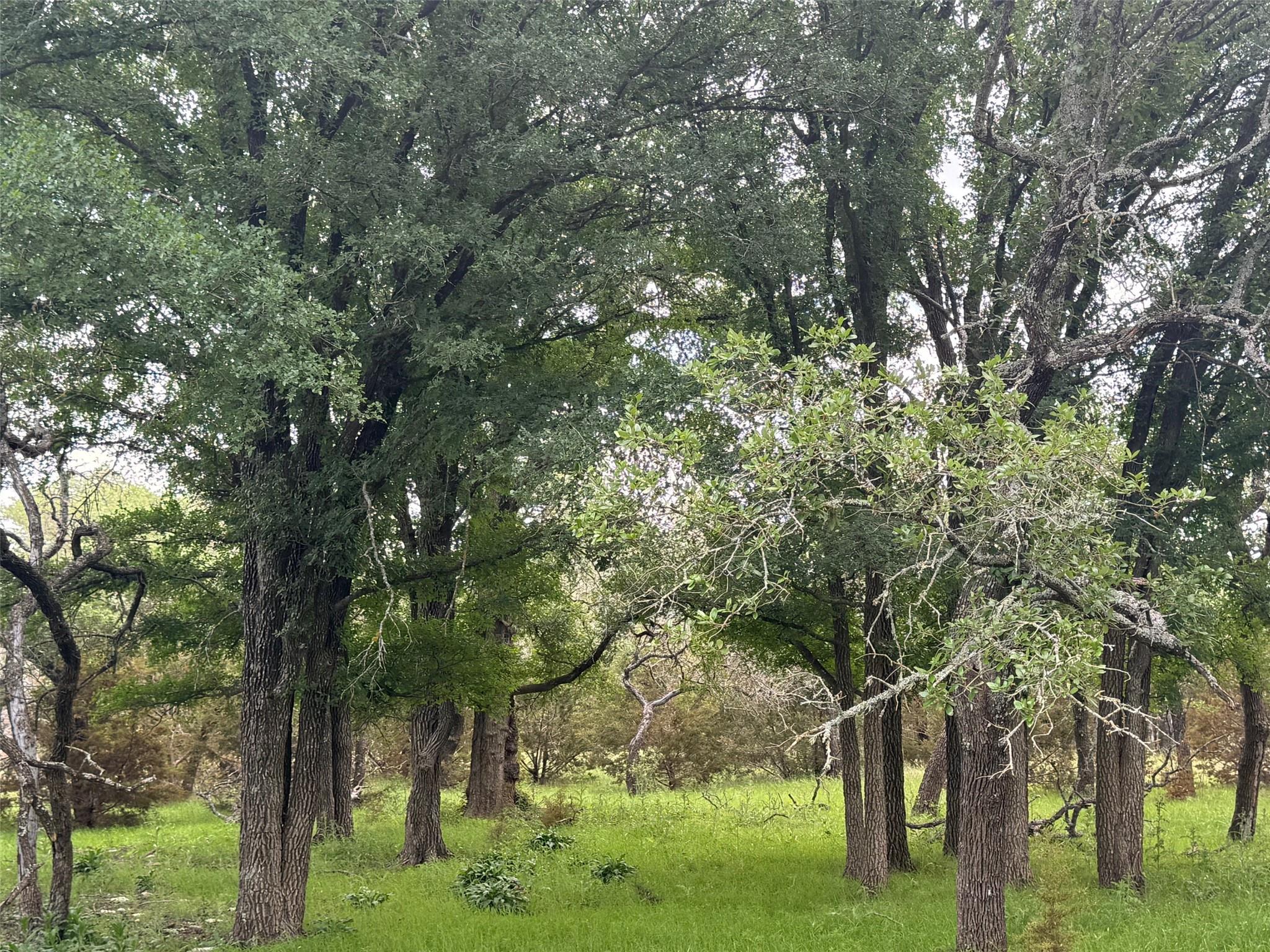 Lot 41 Maverick Way Briggs TX 78608