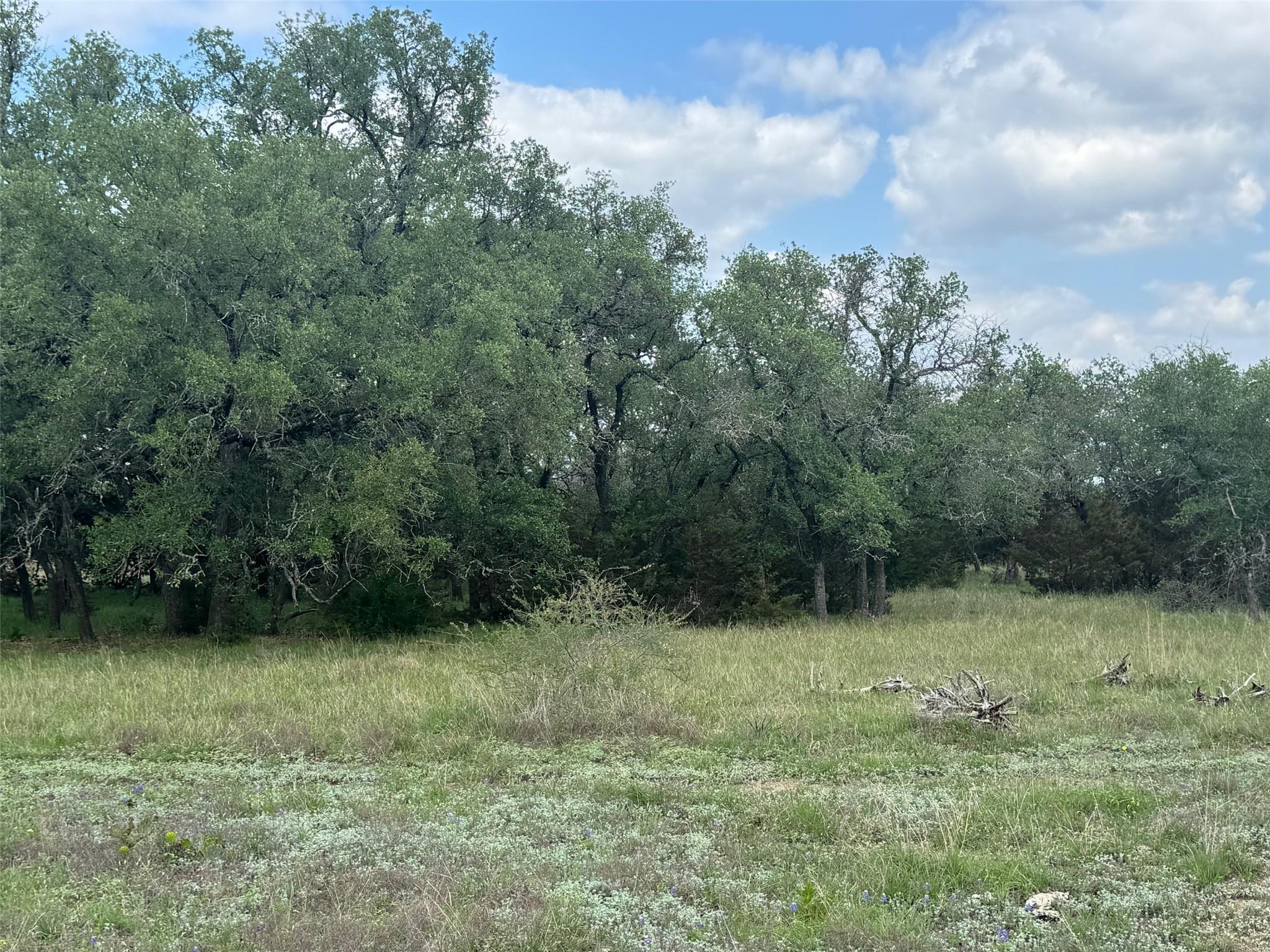 Lot 41 Maverick Way Briggs TX 78608