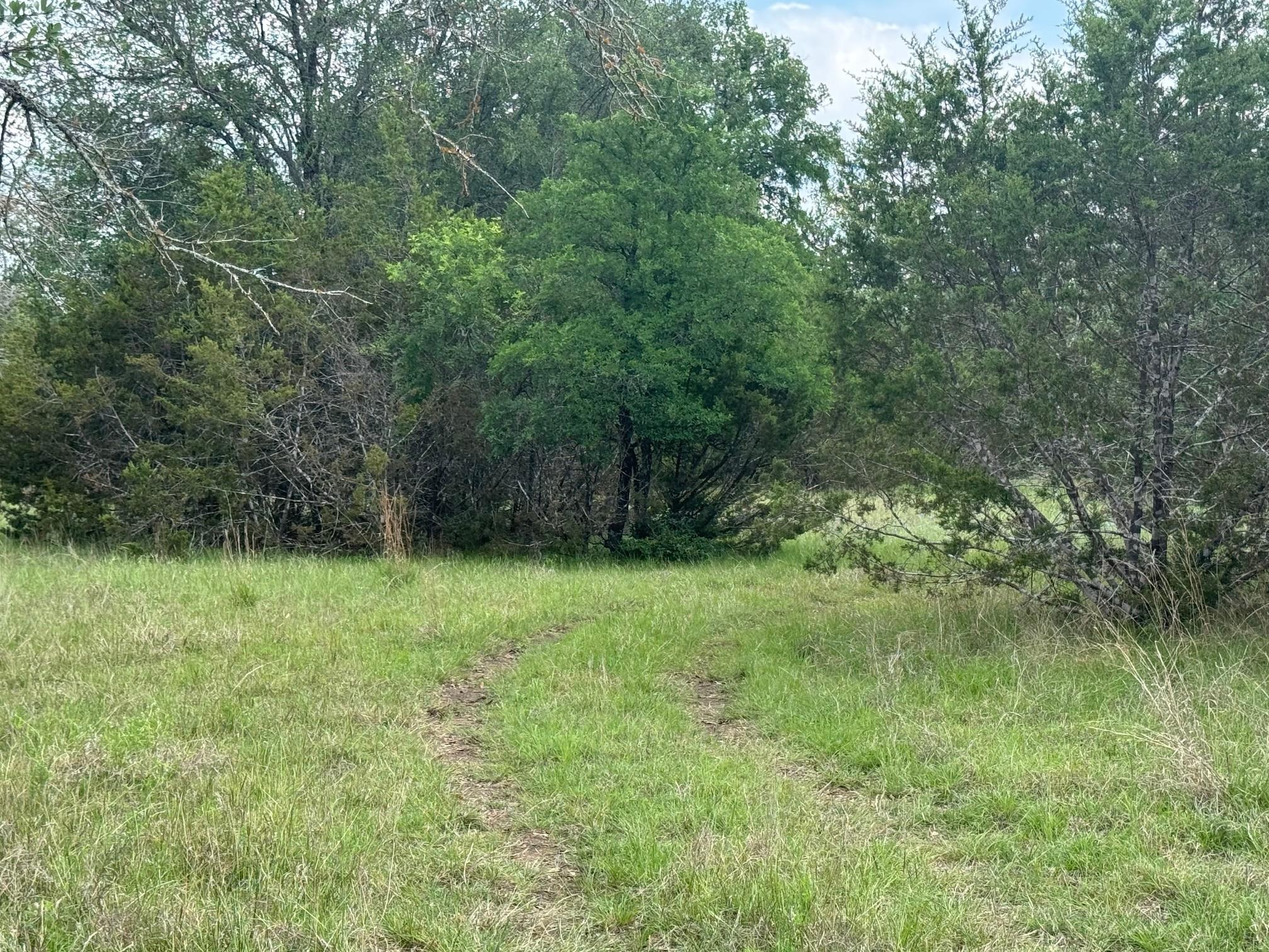 Lot 41 Maverick Way Briggs TX 78608