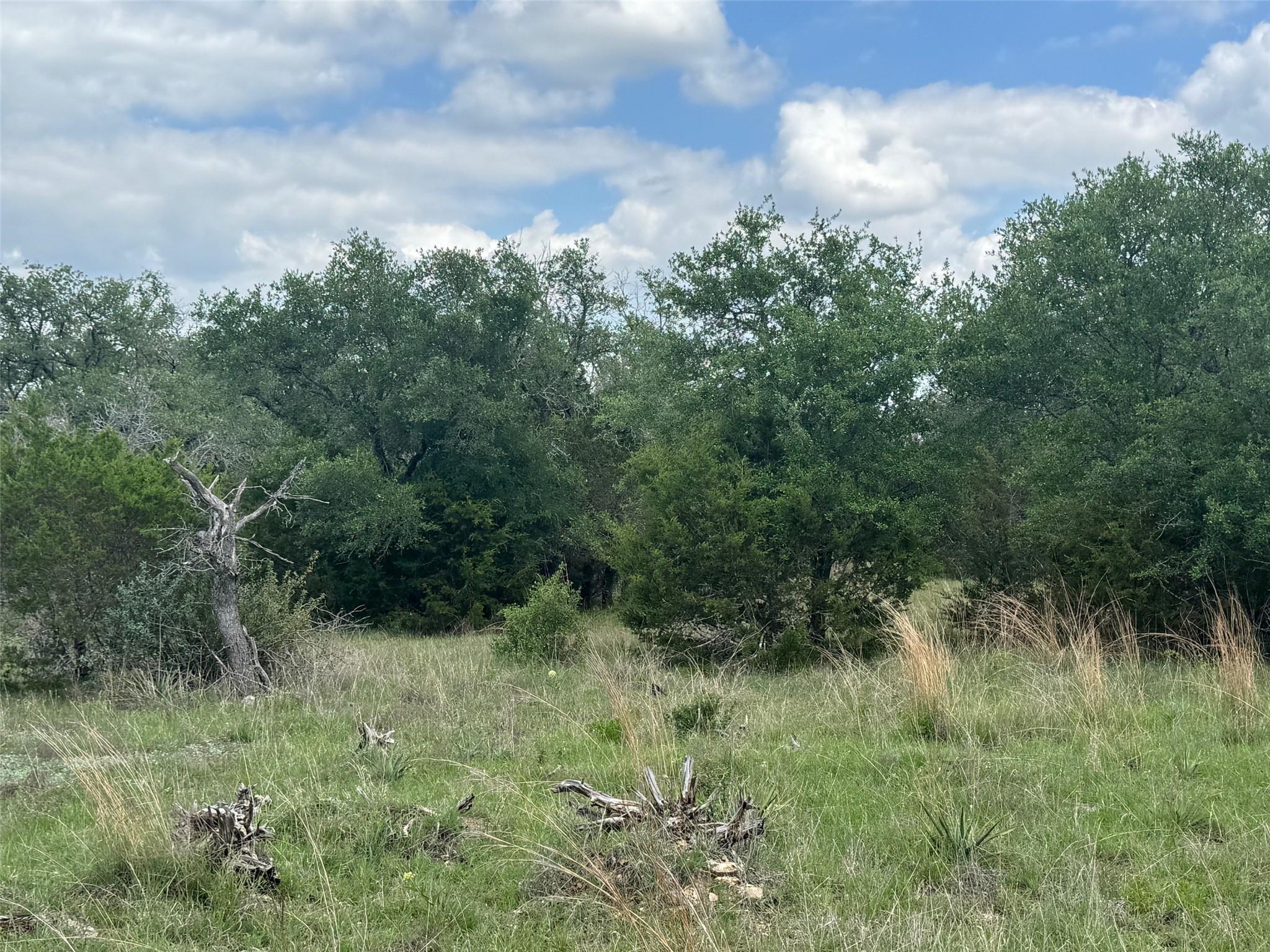 Lot 41 Maverick Way Briggs TX 78608
