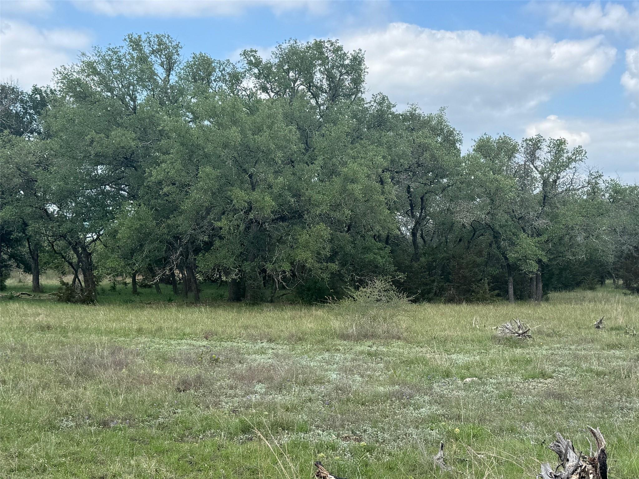 Lot 41 Maverick Way Briggs TX 78608