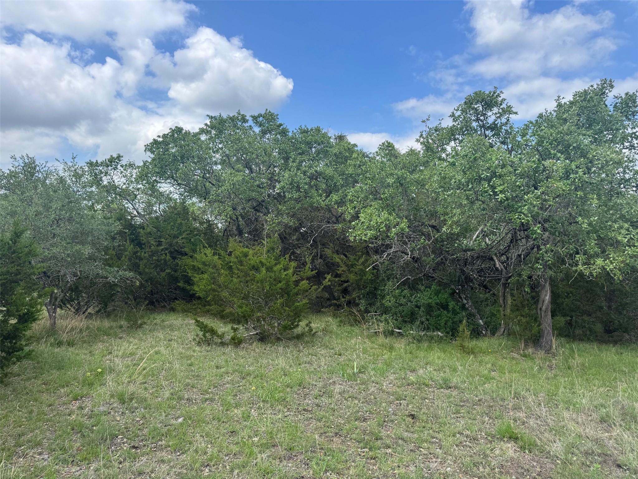 Lot 41 Maverick Way Briggs TX 78608