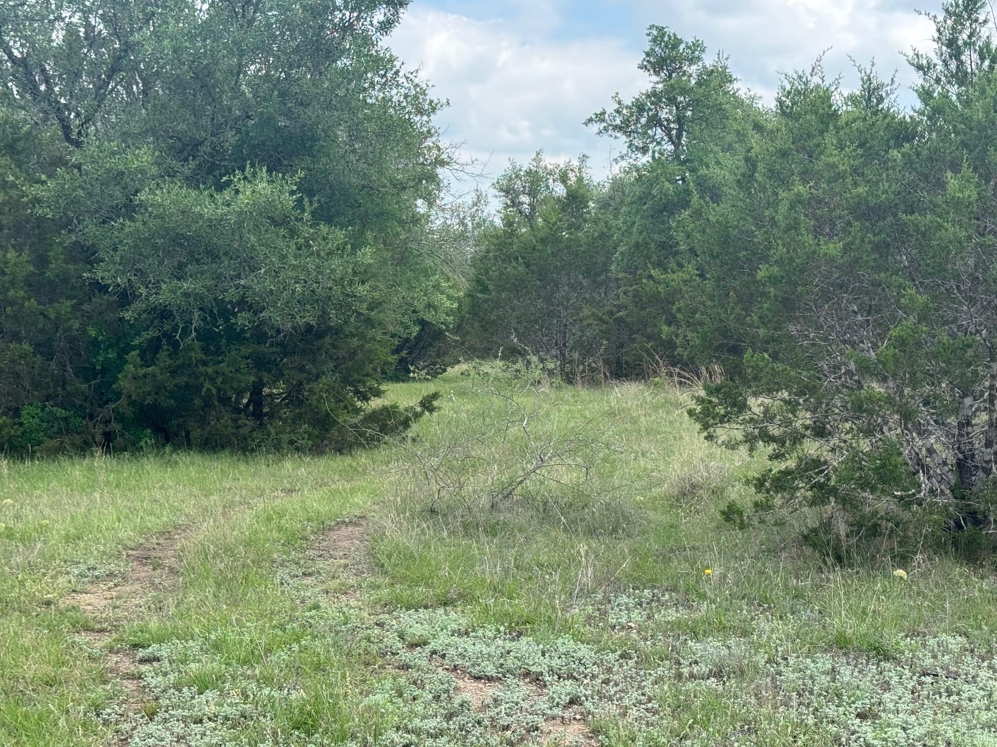 Lot 41 Maverick Way Briggs TX 78608