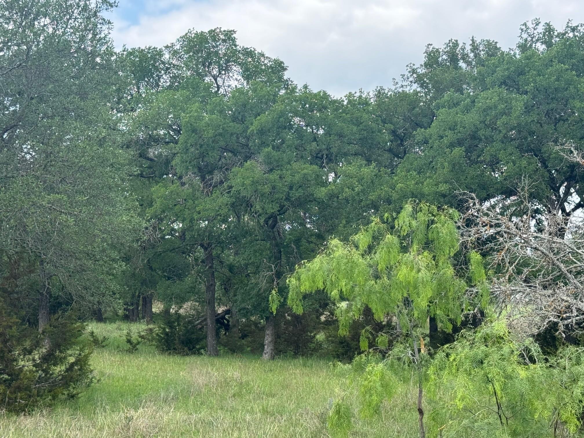 Lot 41 Maverick Way Briggs TX 78608