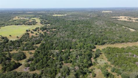 00 Tbd Fm 535 Cedar Creek TX 78617