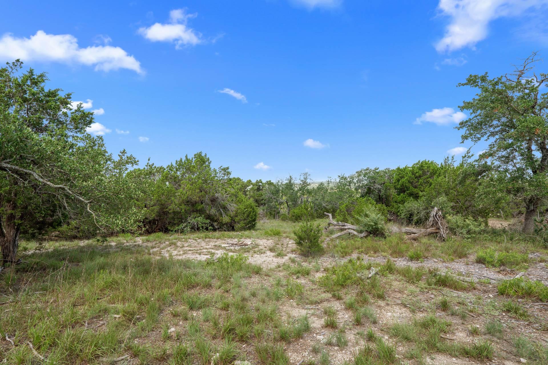 31860 Mirela Ann Road Dripping Springs TX 78620